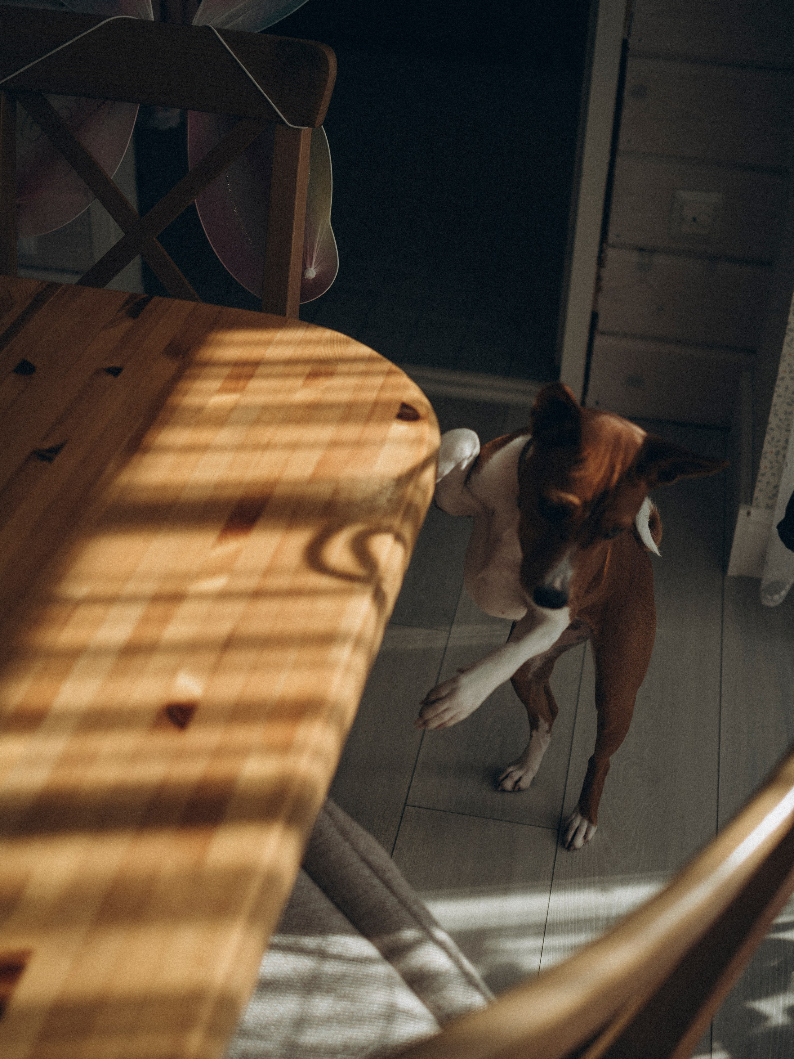 Фотограф в Сортавала Карина Буглакова