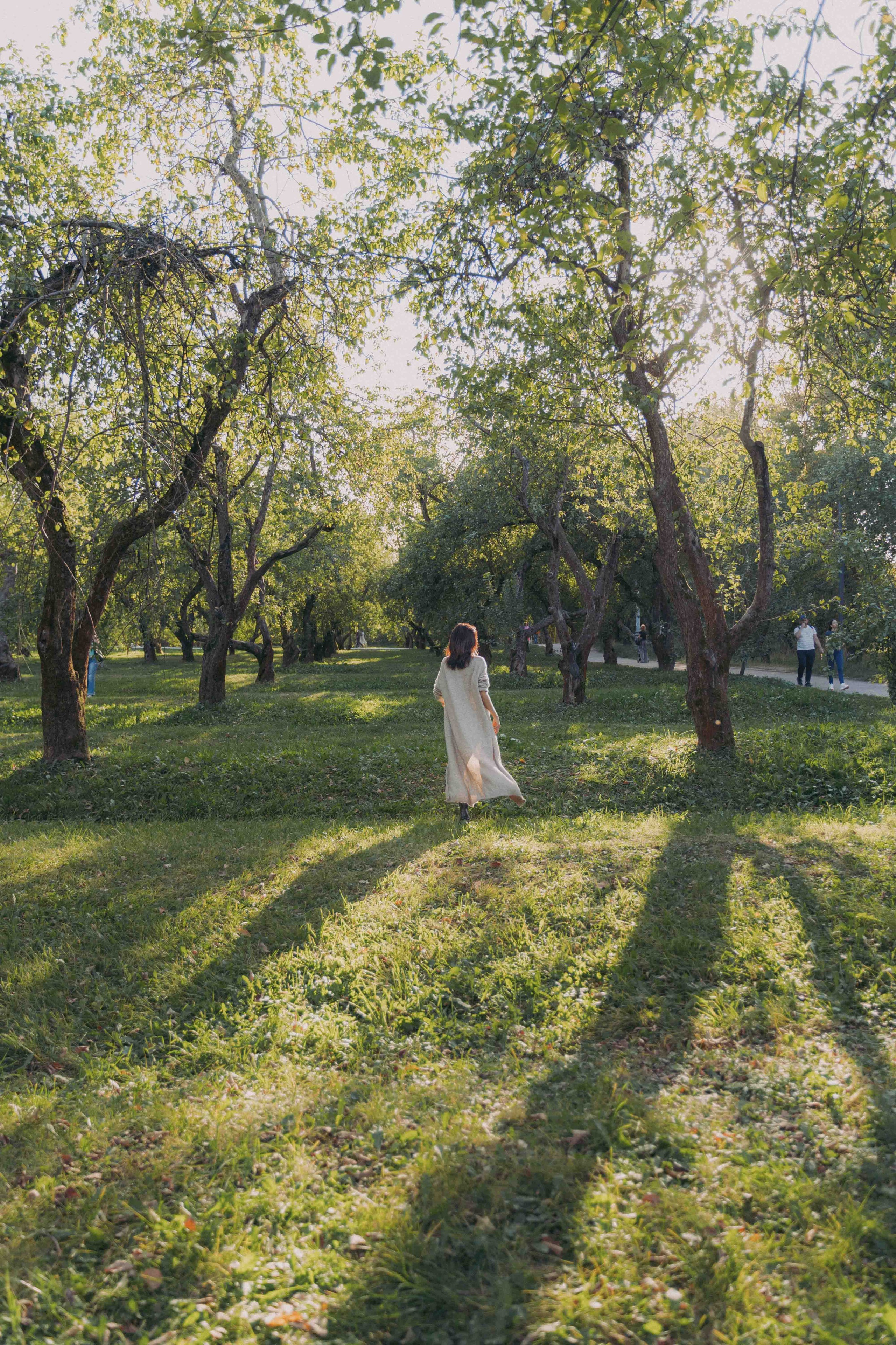 Яблоневый сад и гамак. Фотограф и видеограф в Москве и Абу Даби Мария Кулагина