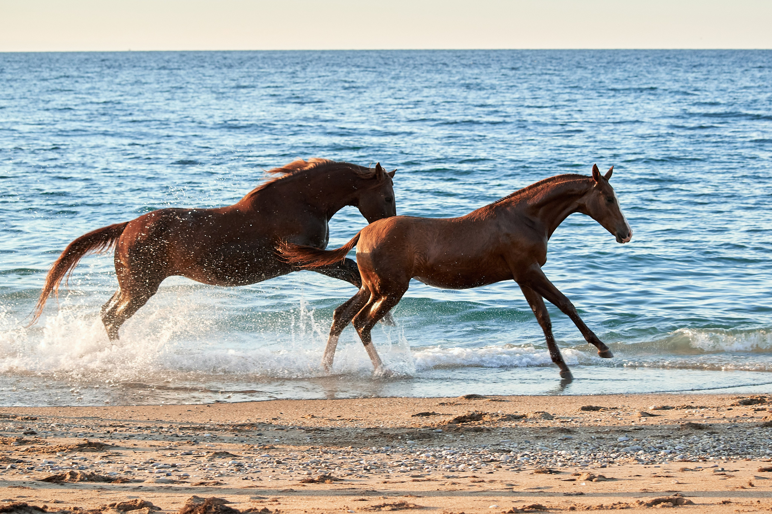 Галактика и Кассиопея. Фотограф в Севастополе