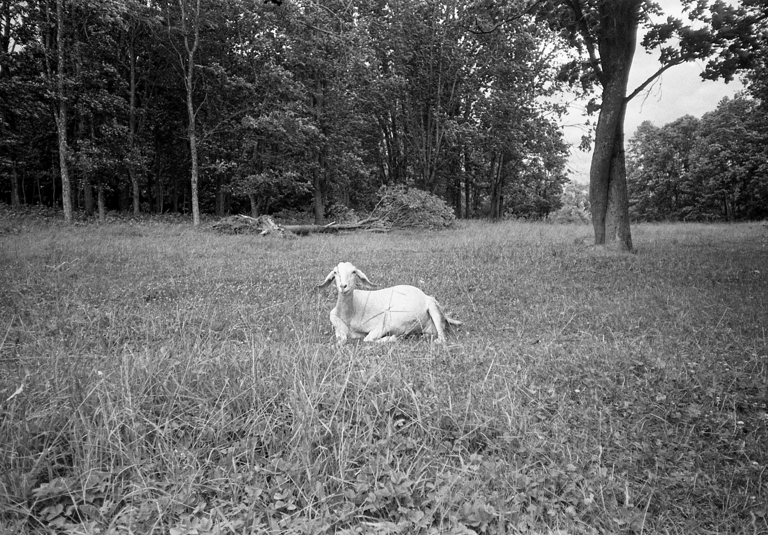 Окраины. Works