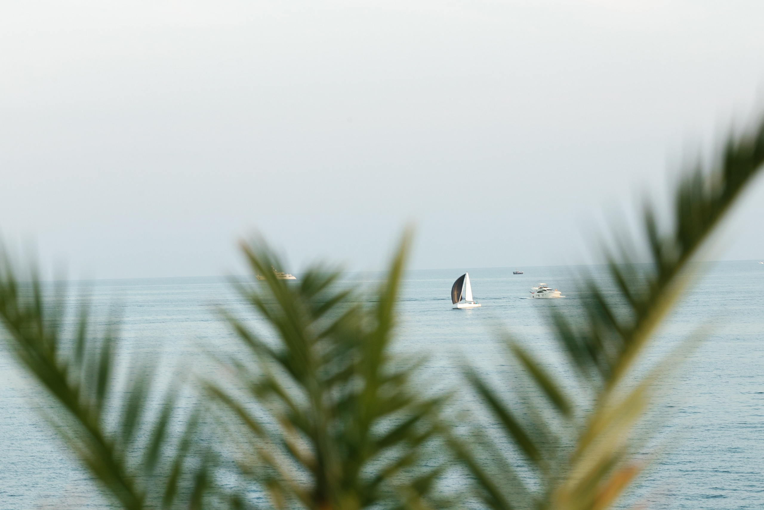 Павел и Елена. Свадебный и семейный фотограф Харольцева Наталья