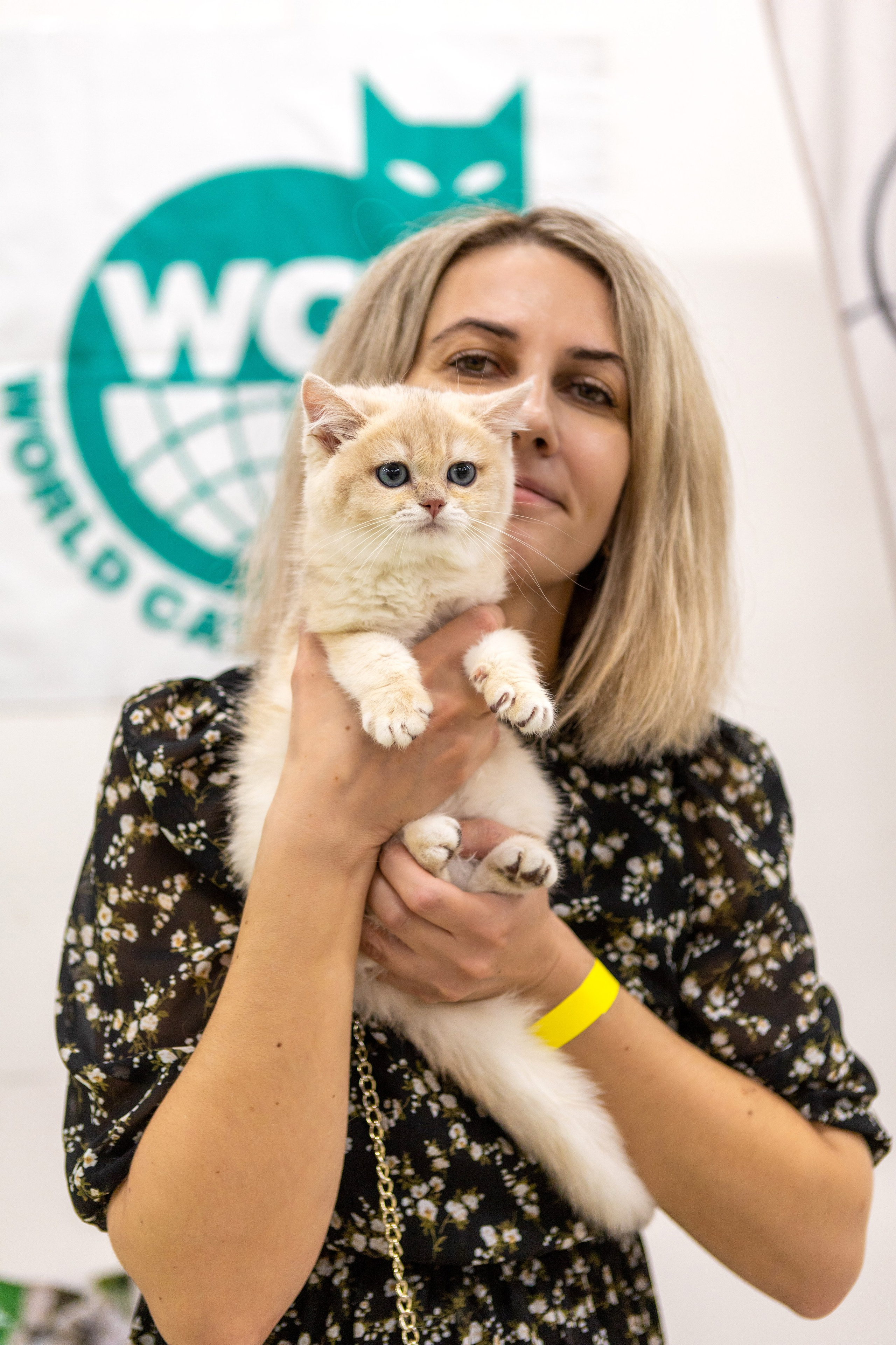 Котята. Фотограф Яна Матвеева в Ижевске