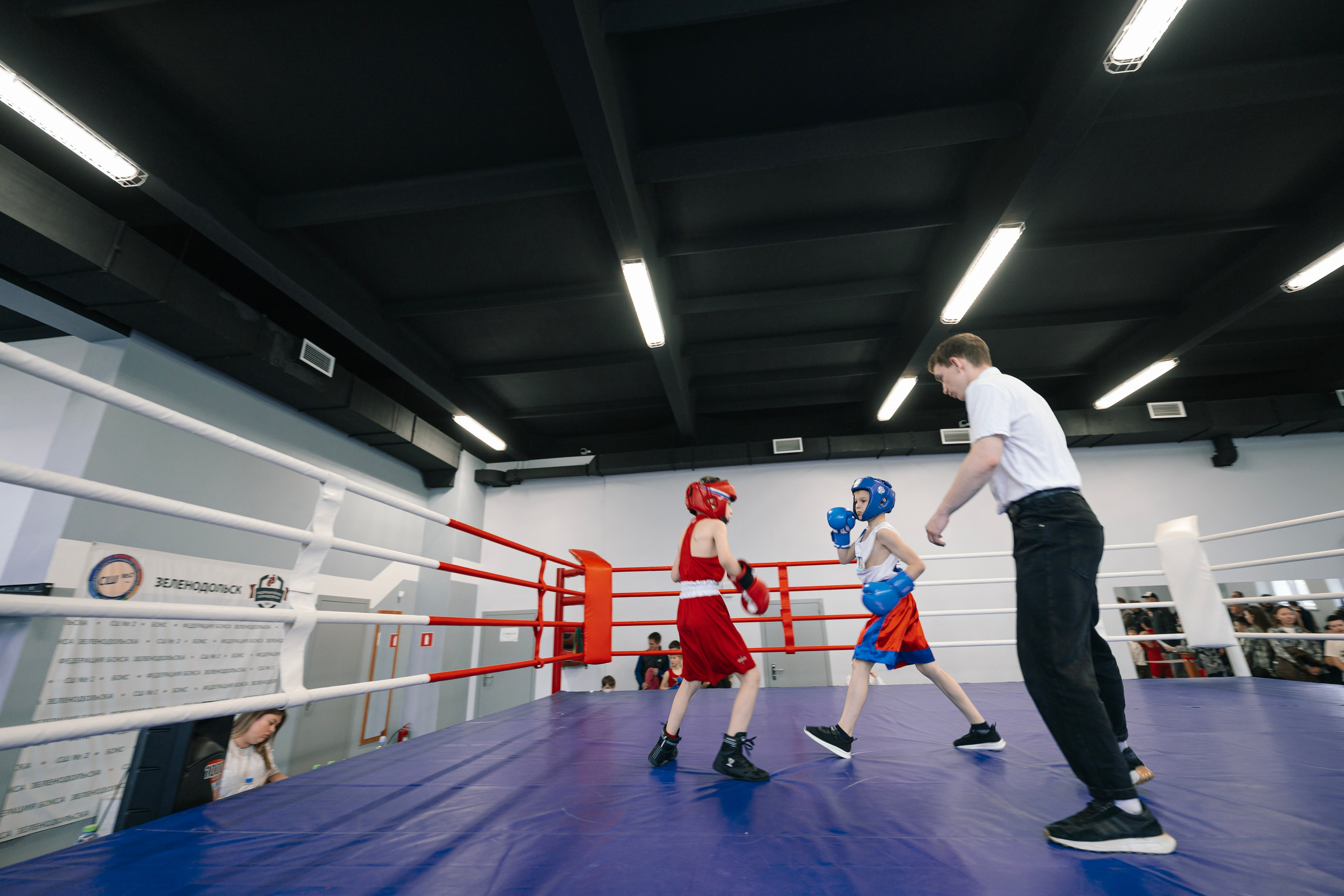 Boxing II. Фотограф в Казани, и Зеленодольске Радик Мухаметов