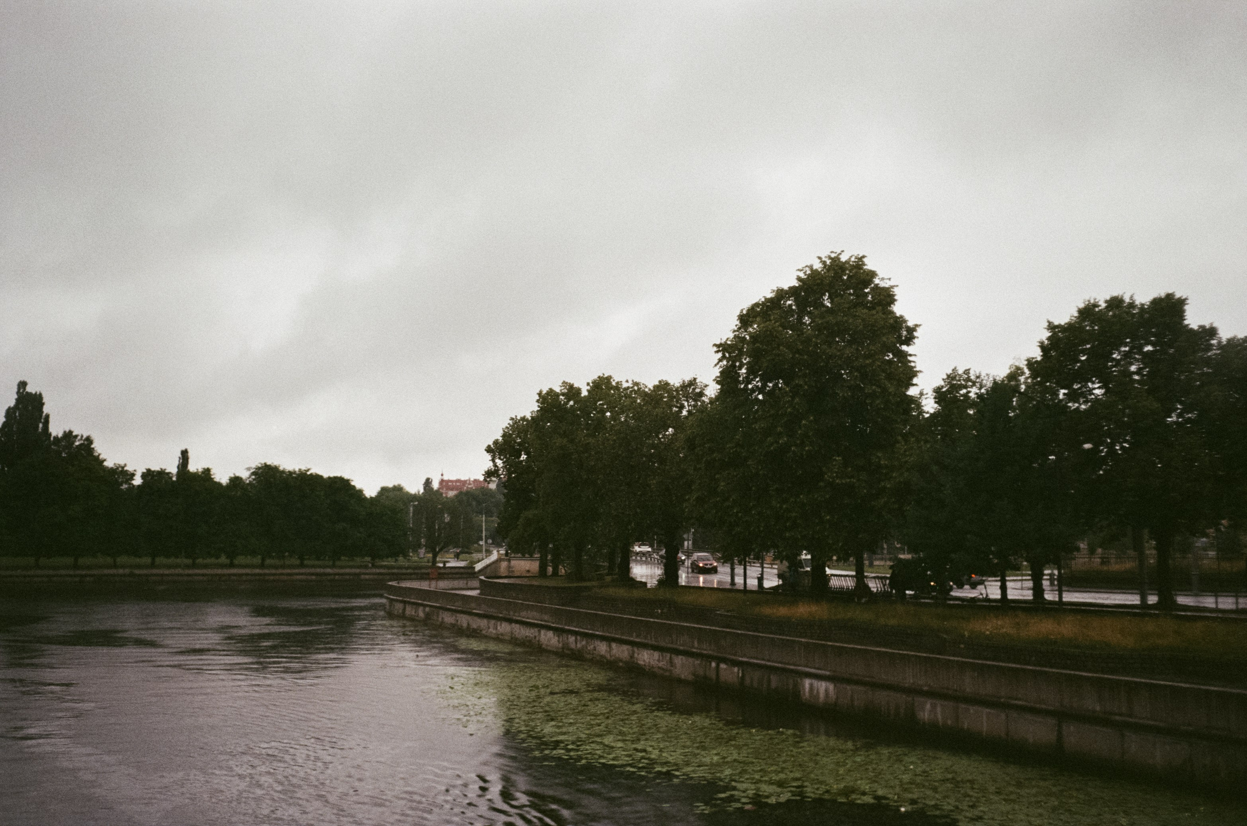 Калининград остров Канта, Кафедральный собор / Minox 35 GT (2)