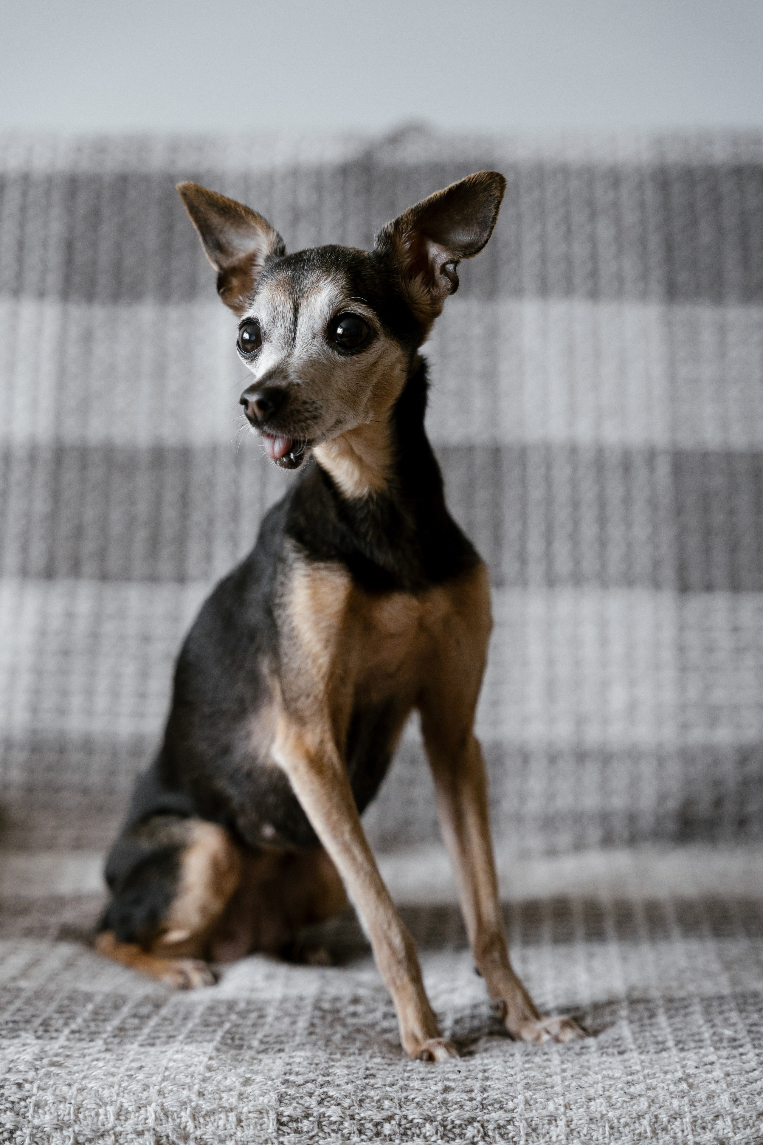 Витя и Аня. Фотограф Томск, Новосибирск Влад Свириденко