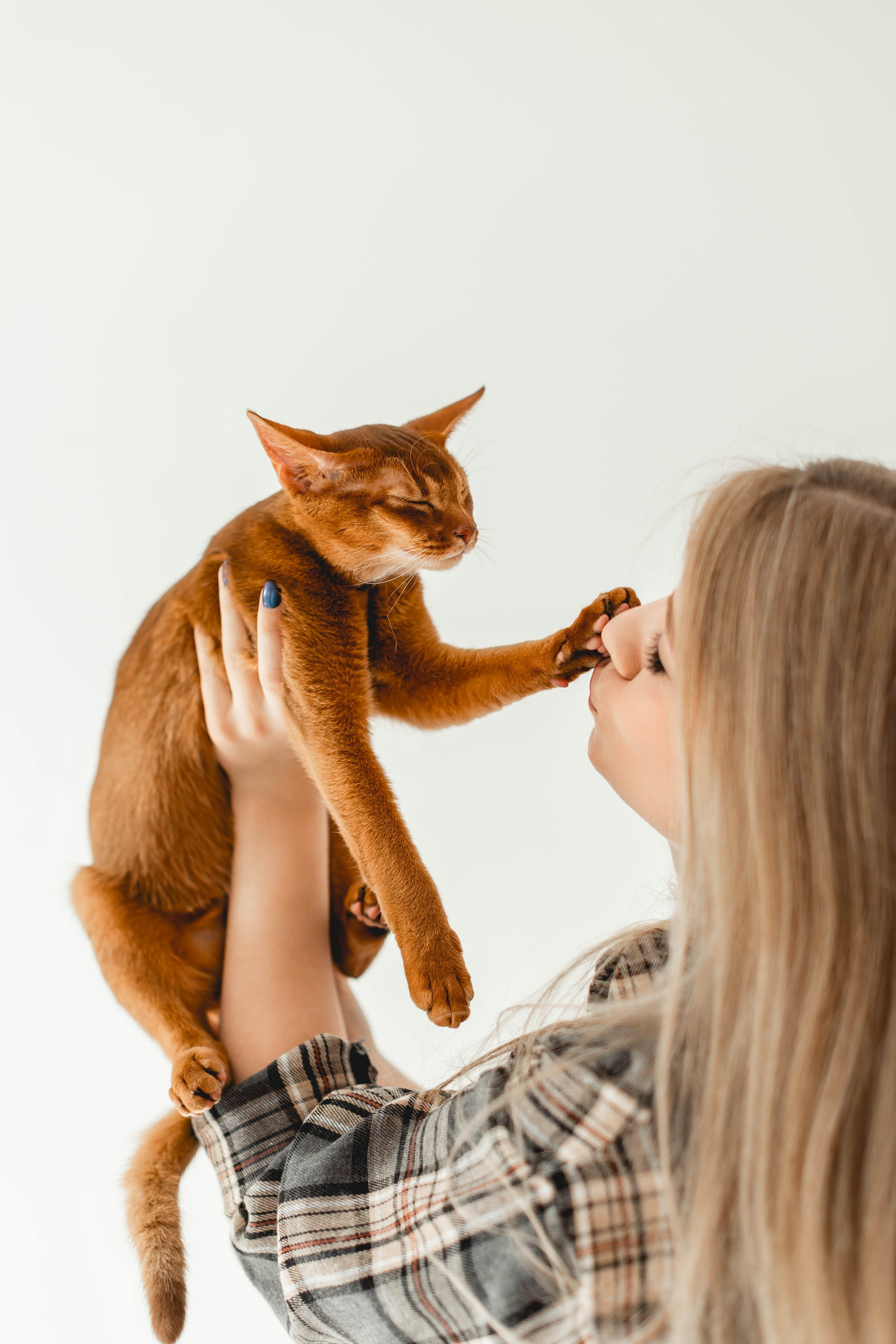 Victoriya. Главная