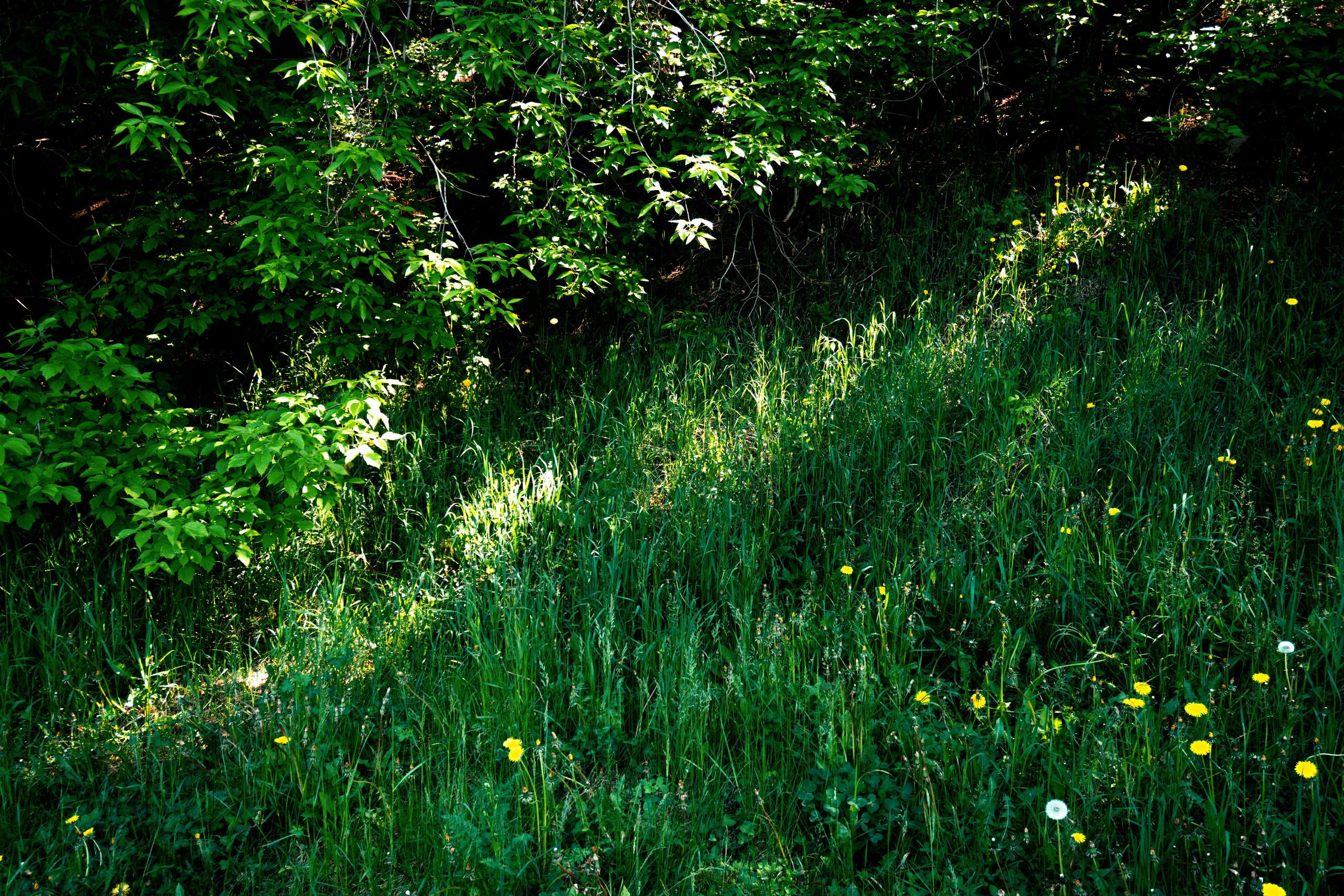 05.06.2025 | Красноярск. Kuznetsov | Фотограф в Красноярске