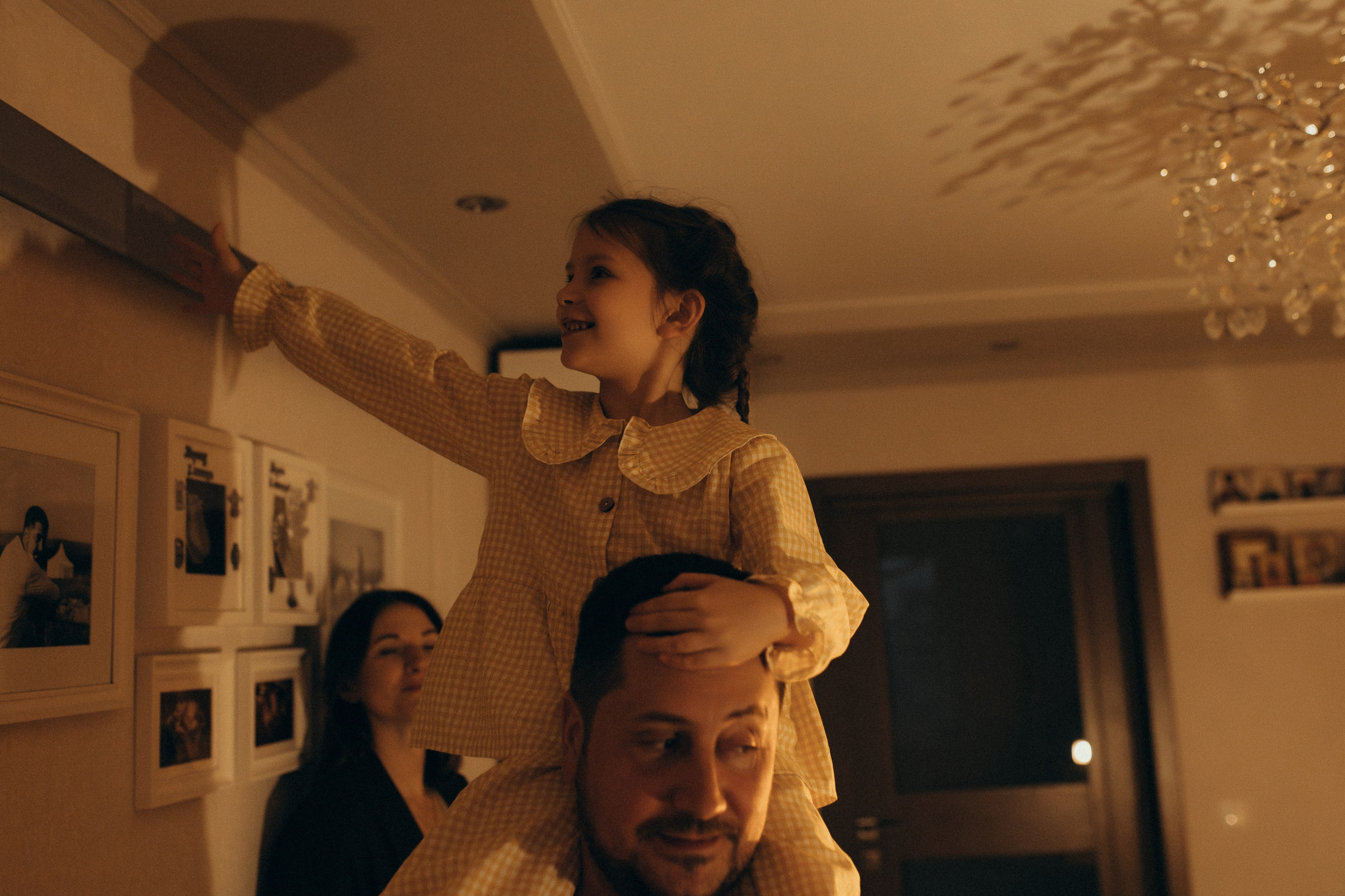 Домашняя история. Meryfotoidea