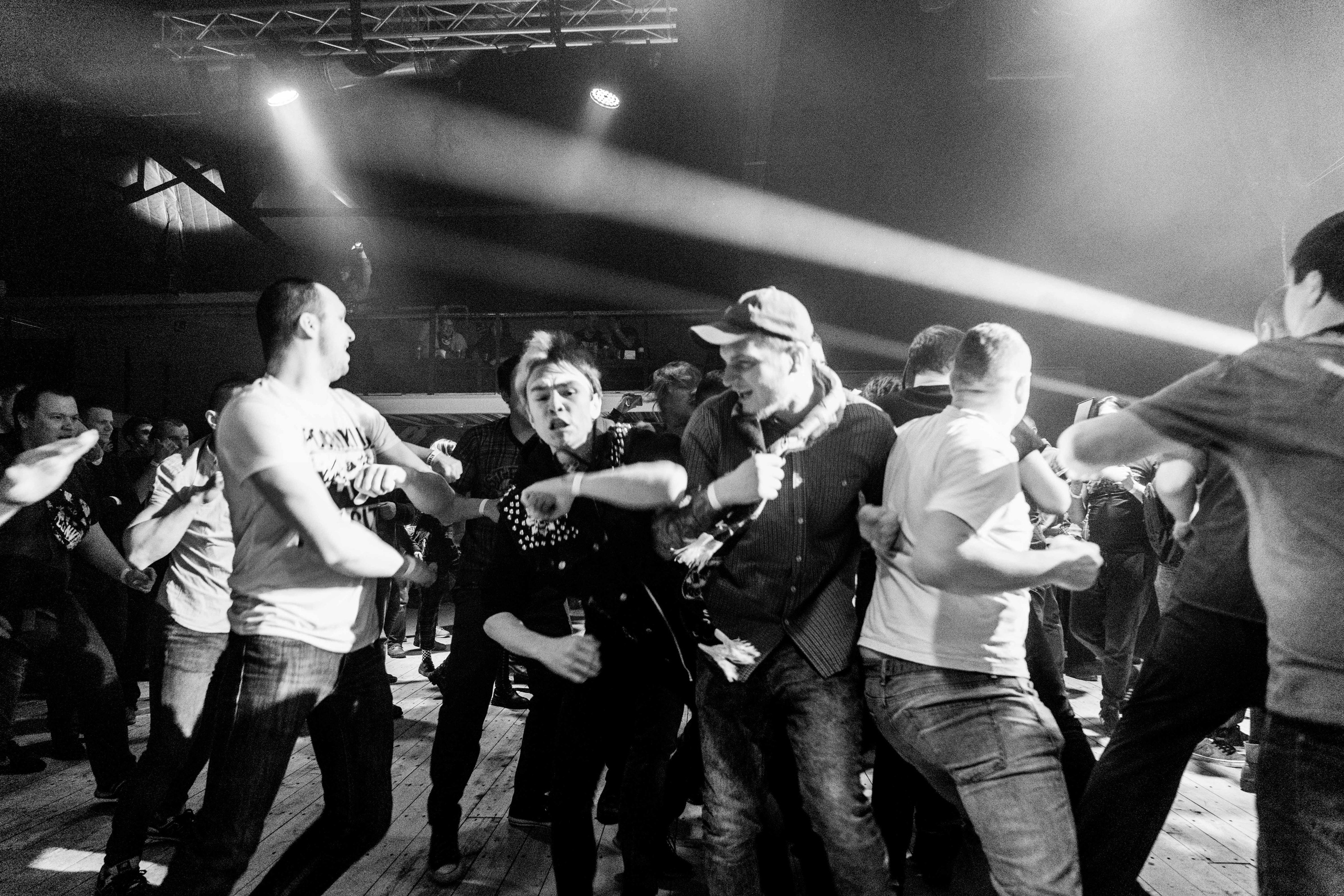 Distamper. Твой фотограф — Полосатый кот