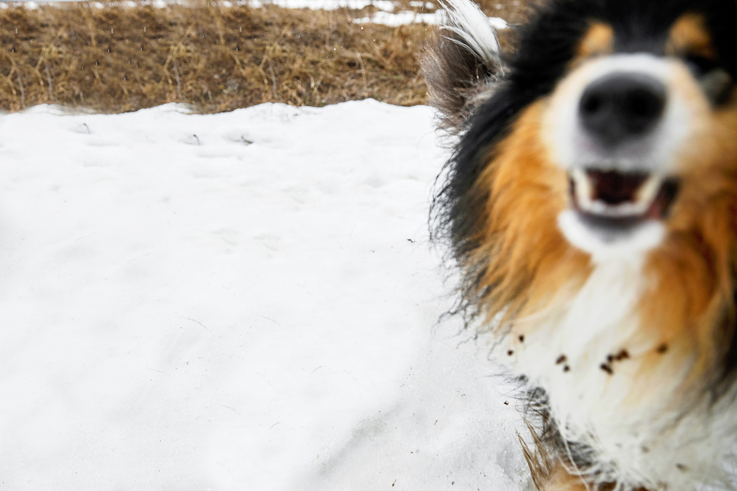 Прогулка под дождём. Свадебный фотограф в Ульяновске Александр Никитин