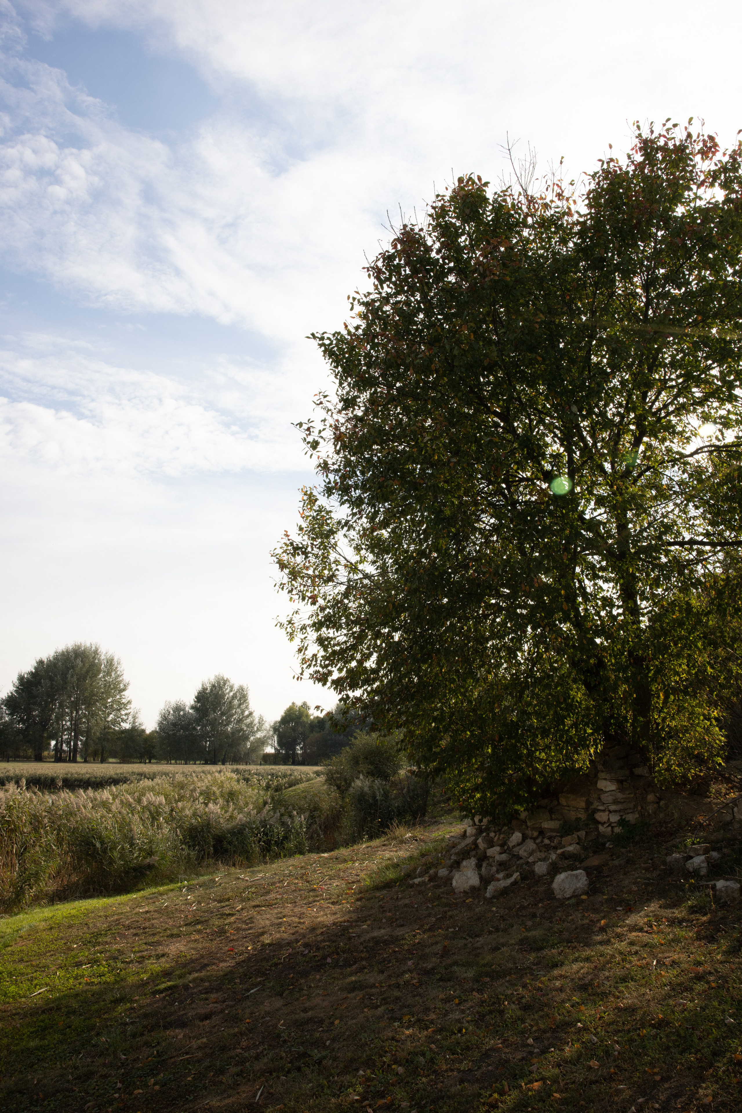 Поездка на поле Кулеково. Фотограф в Туле Крупский АнДРей. Фотостудия «КАДР71» в Туле