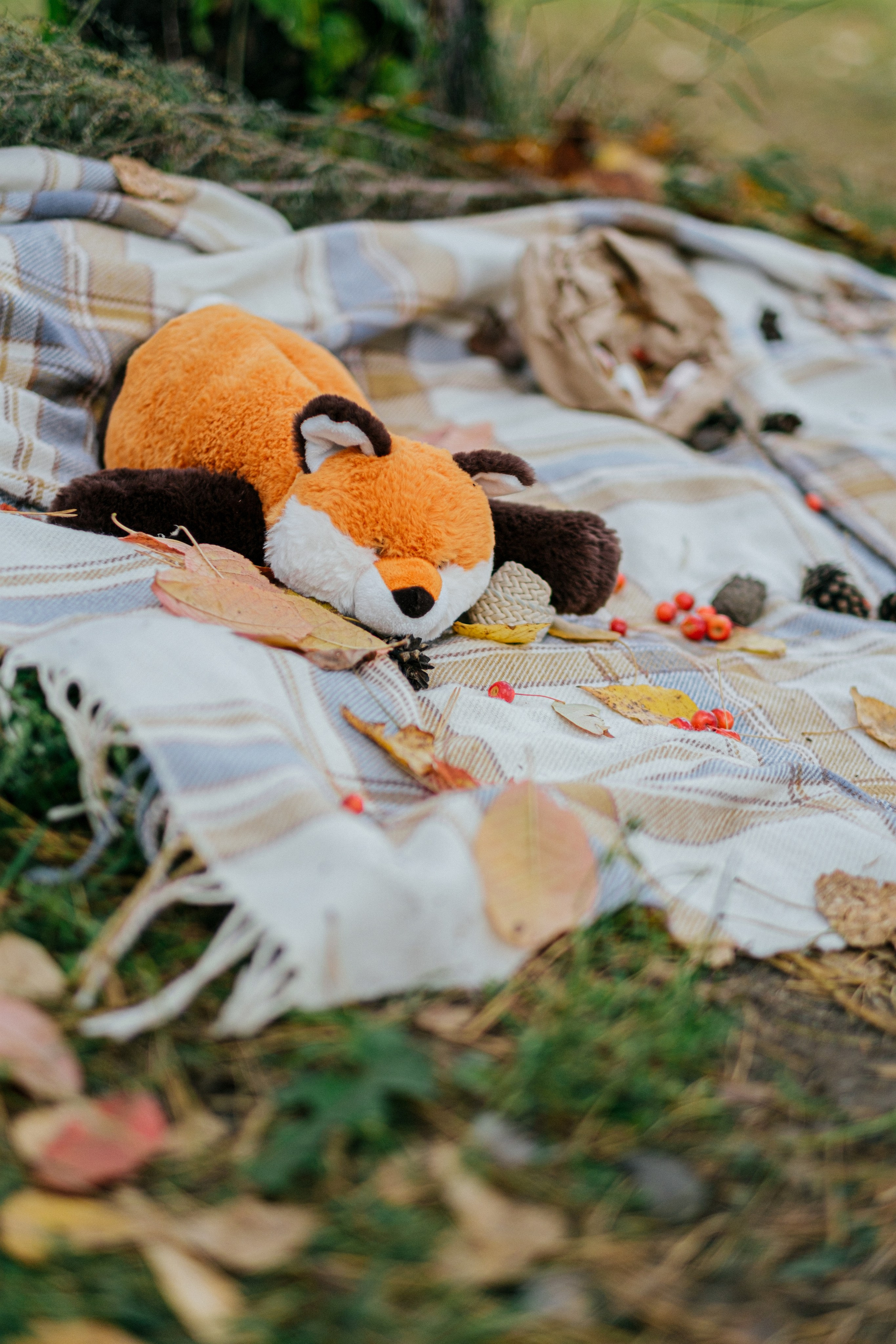 Осенний пикник. Свадебный Видеограф Фотограф в Сочи