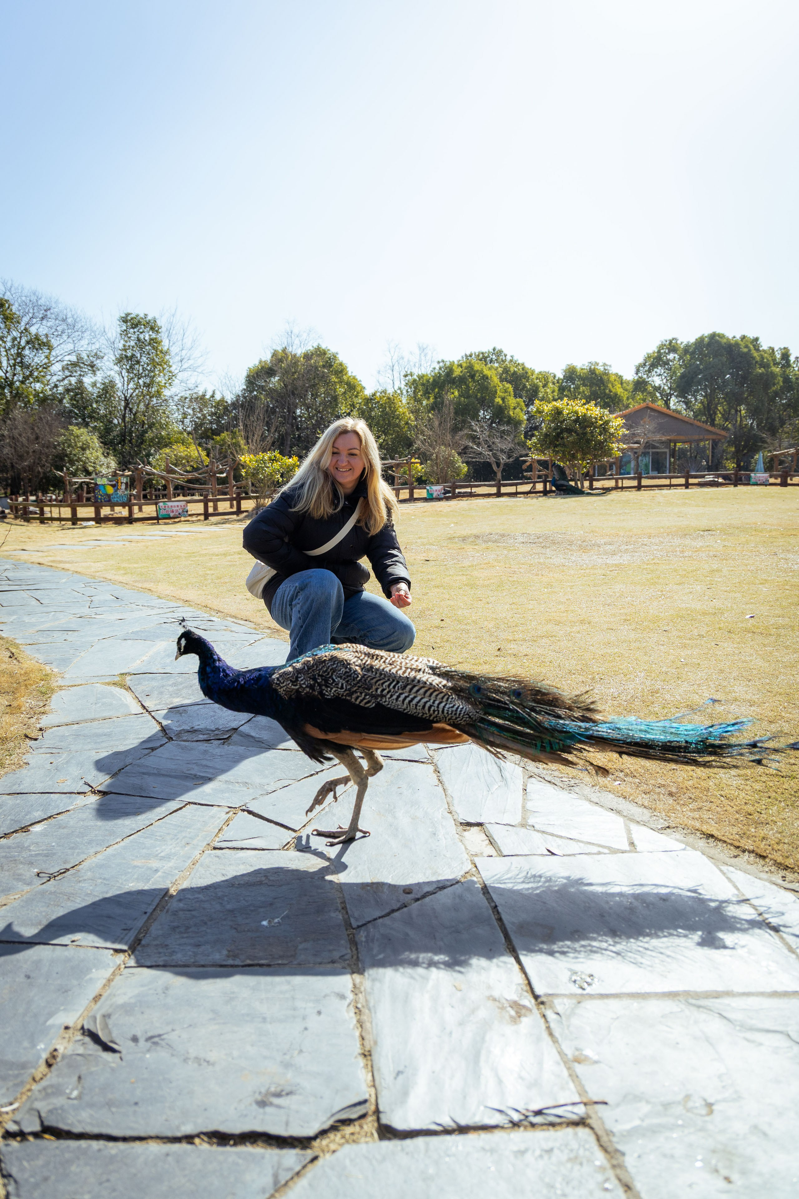 Шанхай (март 2026). Фотограф Виноградов Константин