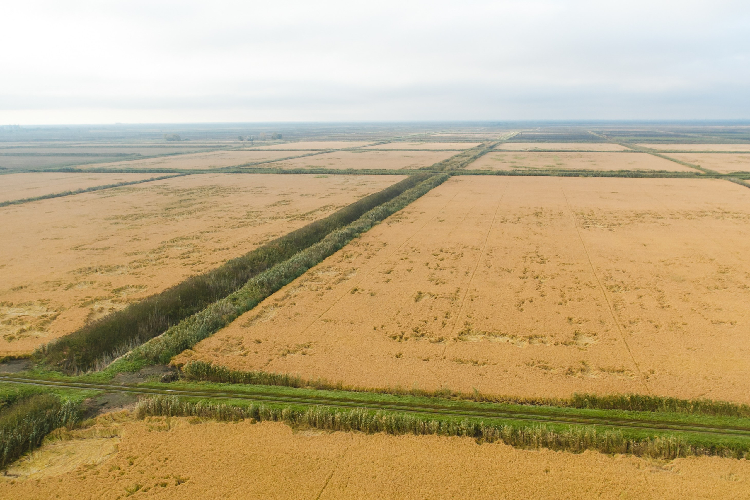 Промышленность. Фотограф Андрей Баксов