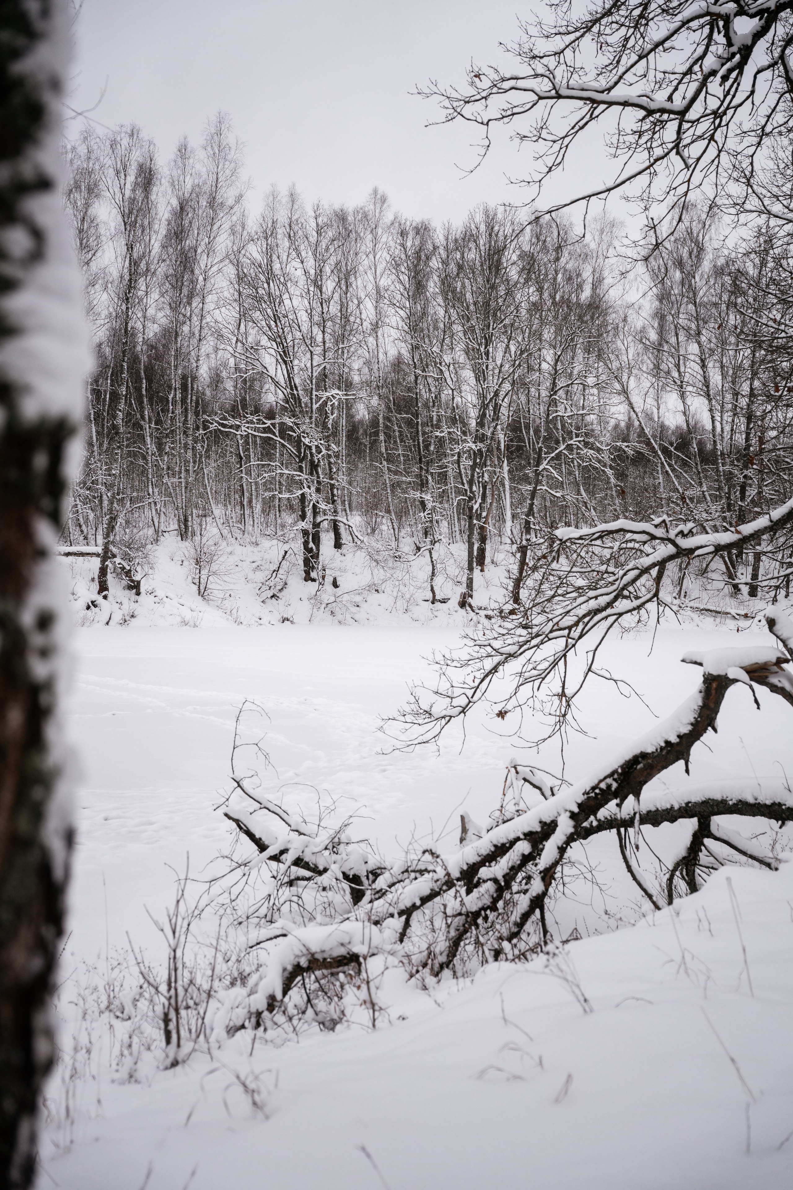 Поездка к р. Песочня и деревне Раевское. Vlad Trykov