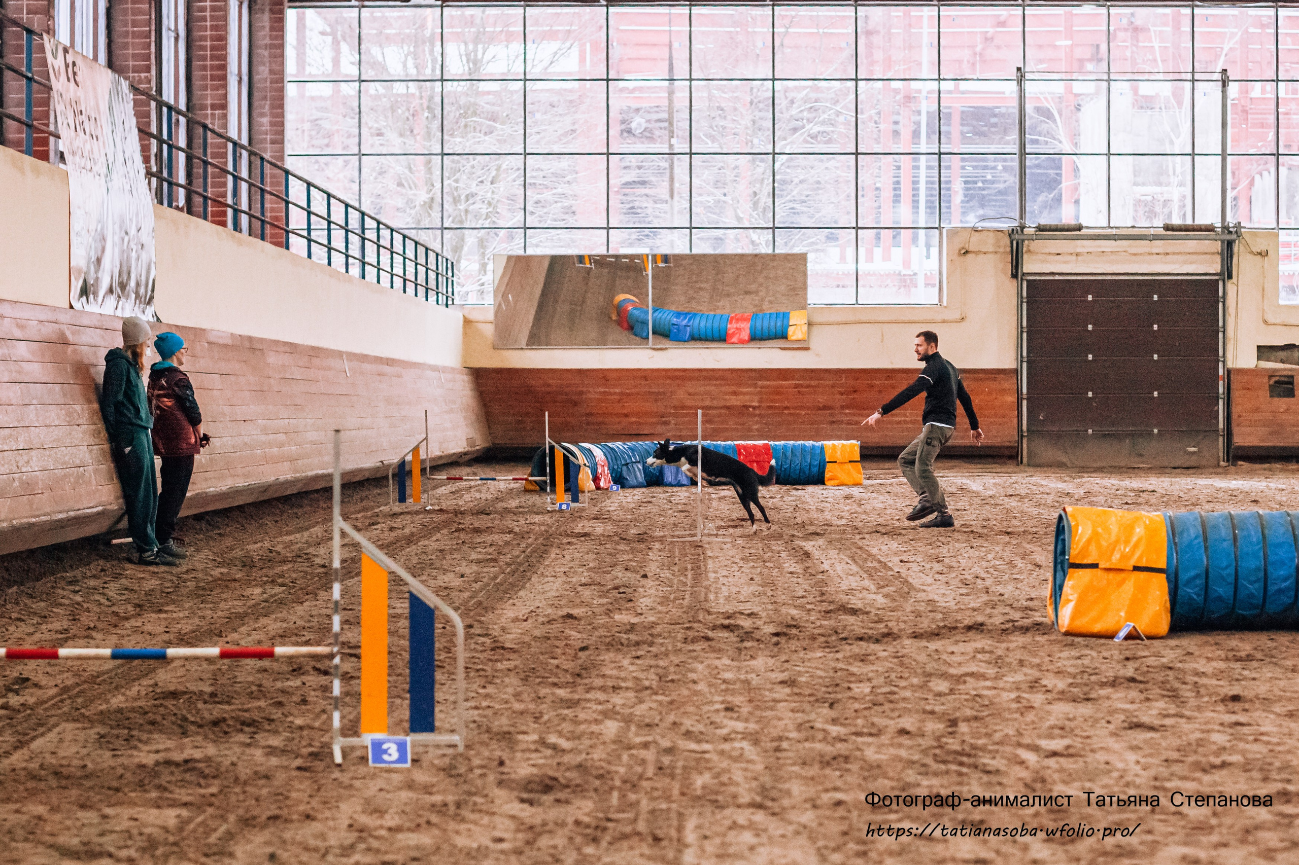 Соревнования по Аджилити 25.02.2024. Фотограф-анималист Татьяна Степанова