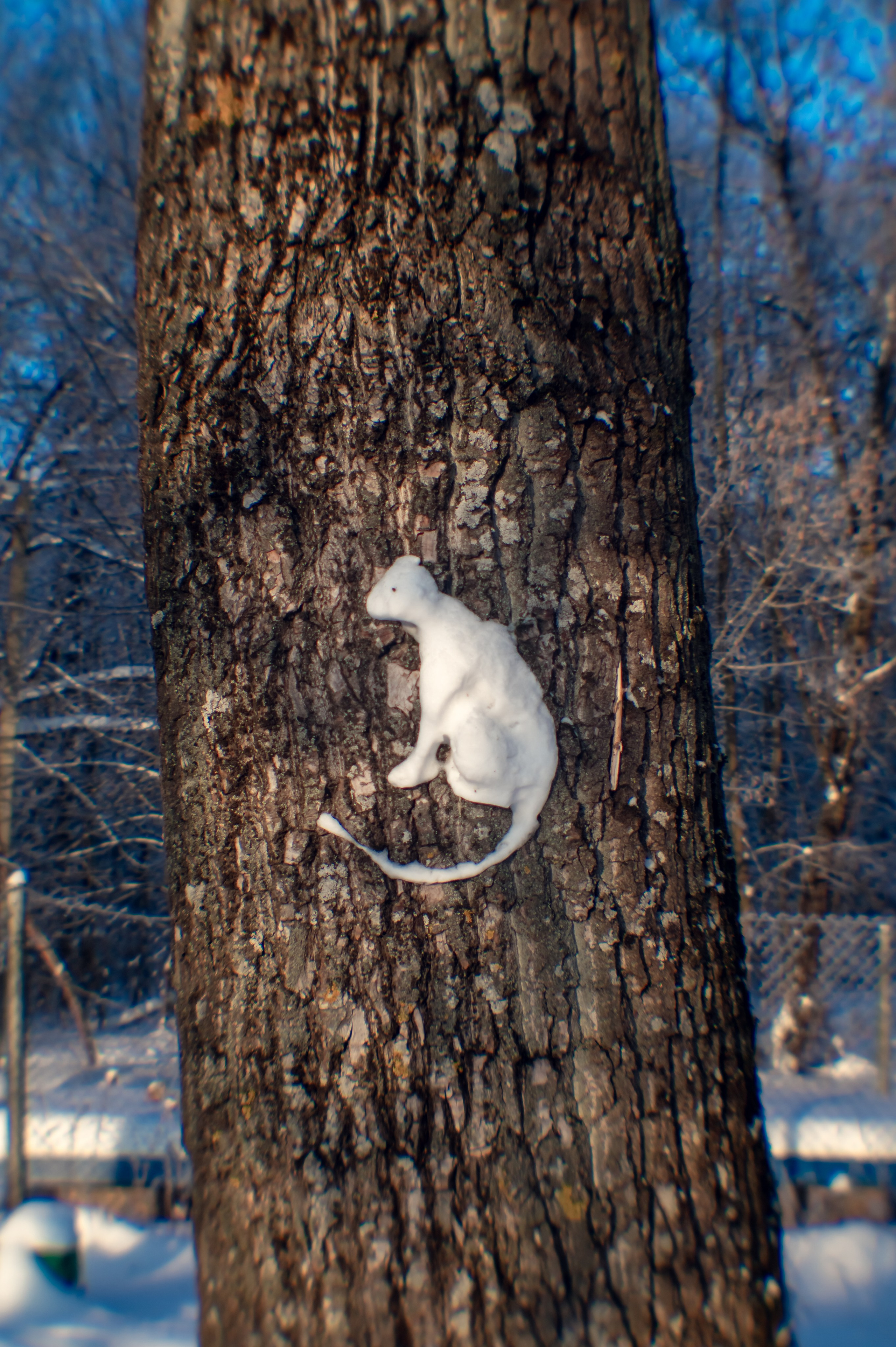 Зимушка зима. Фотограф Крещение Венчание Москва