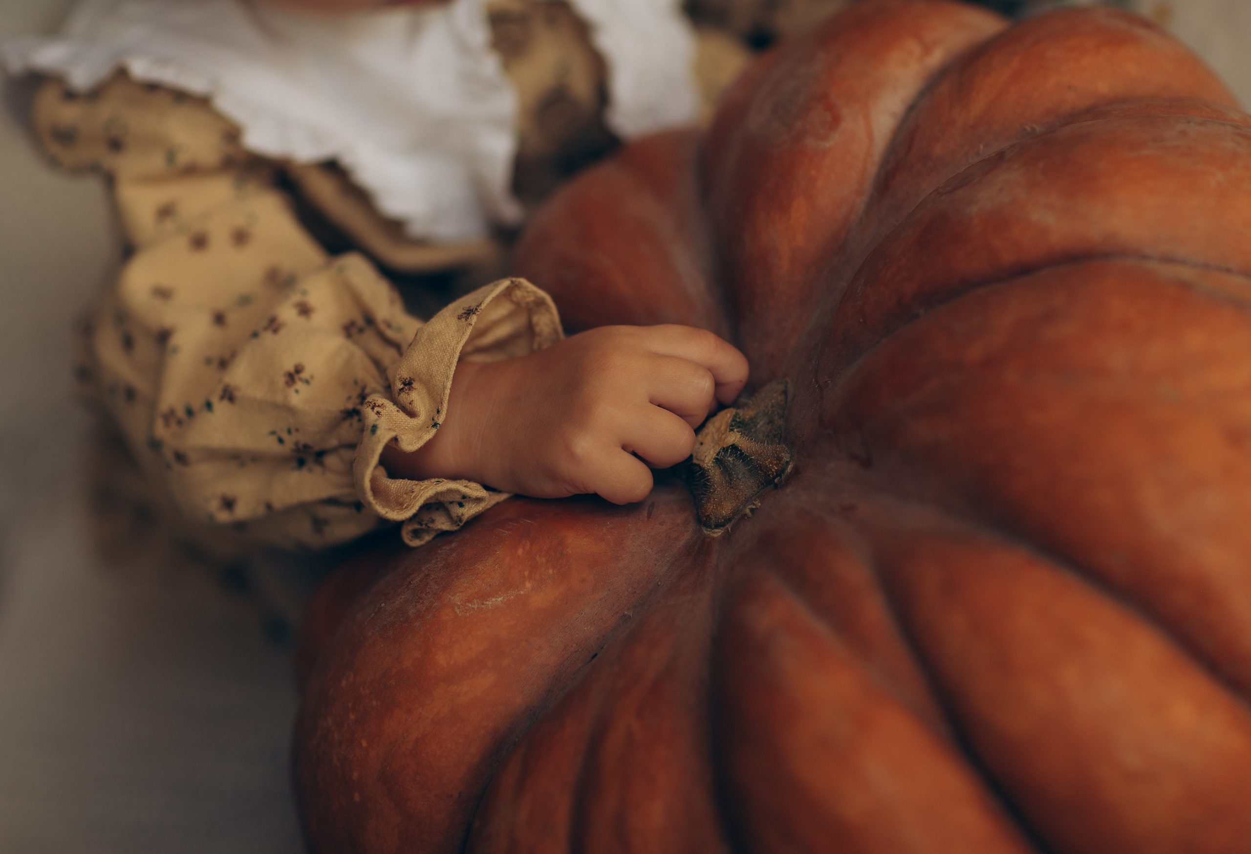 Для Ангелины. Семейный и детский фотограф, женский портрет Москва Светлана Мертикова