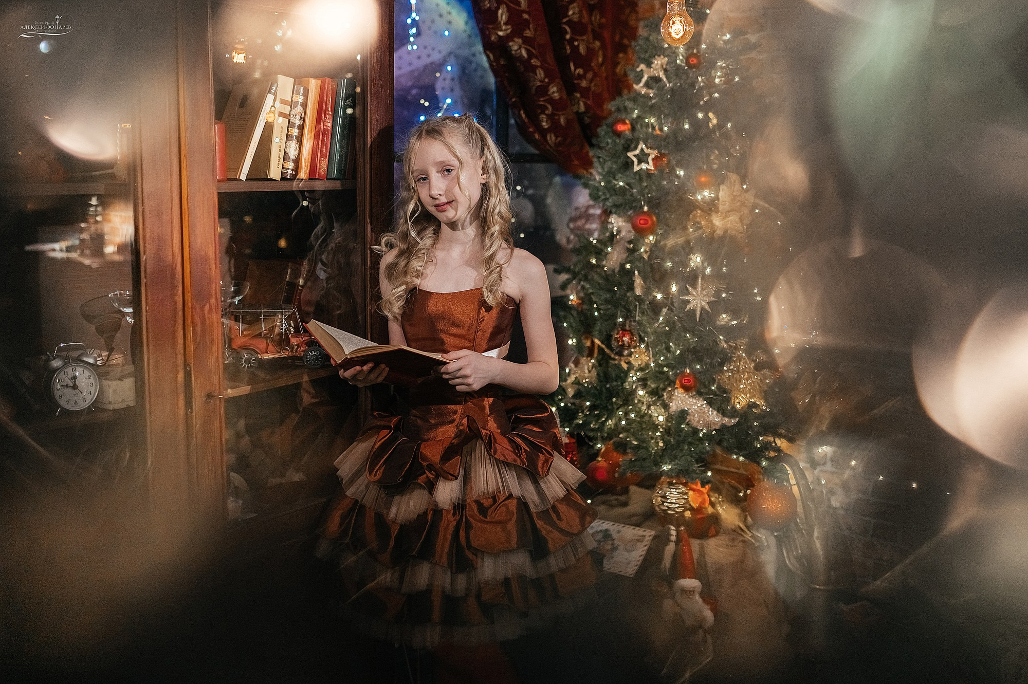 Новогодняя фотостудия в Дубне Кимрах Талдоме. Свадебный фотограф в Дубне Алексей Фонарёв