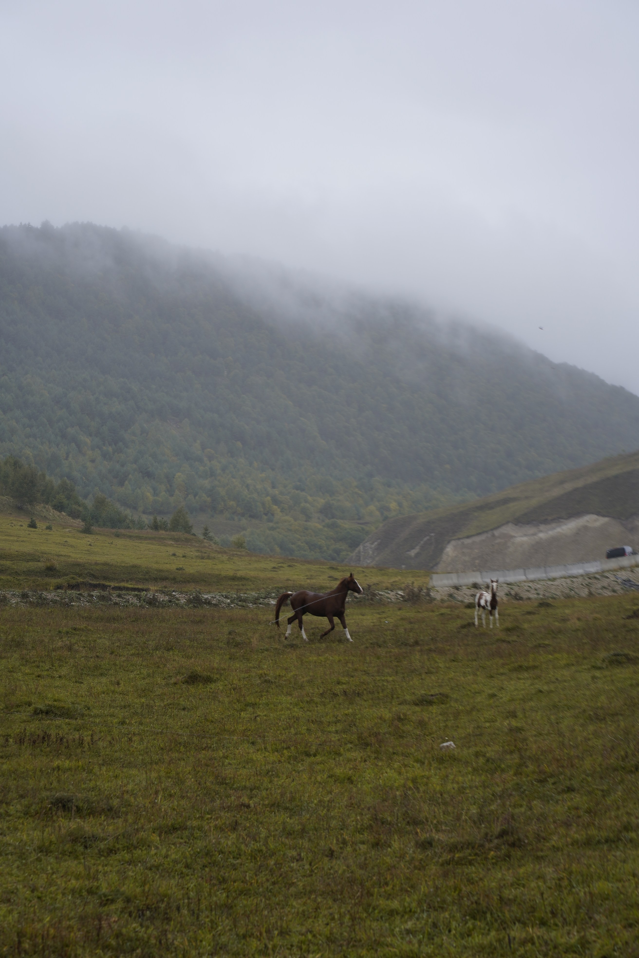 Дагестан. Главная