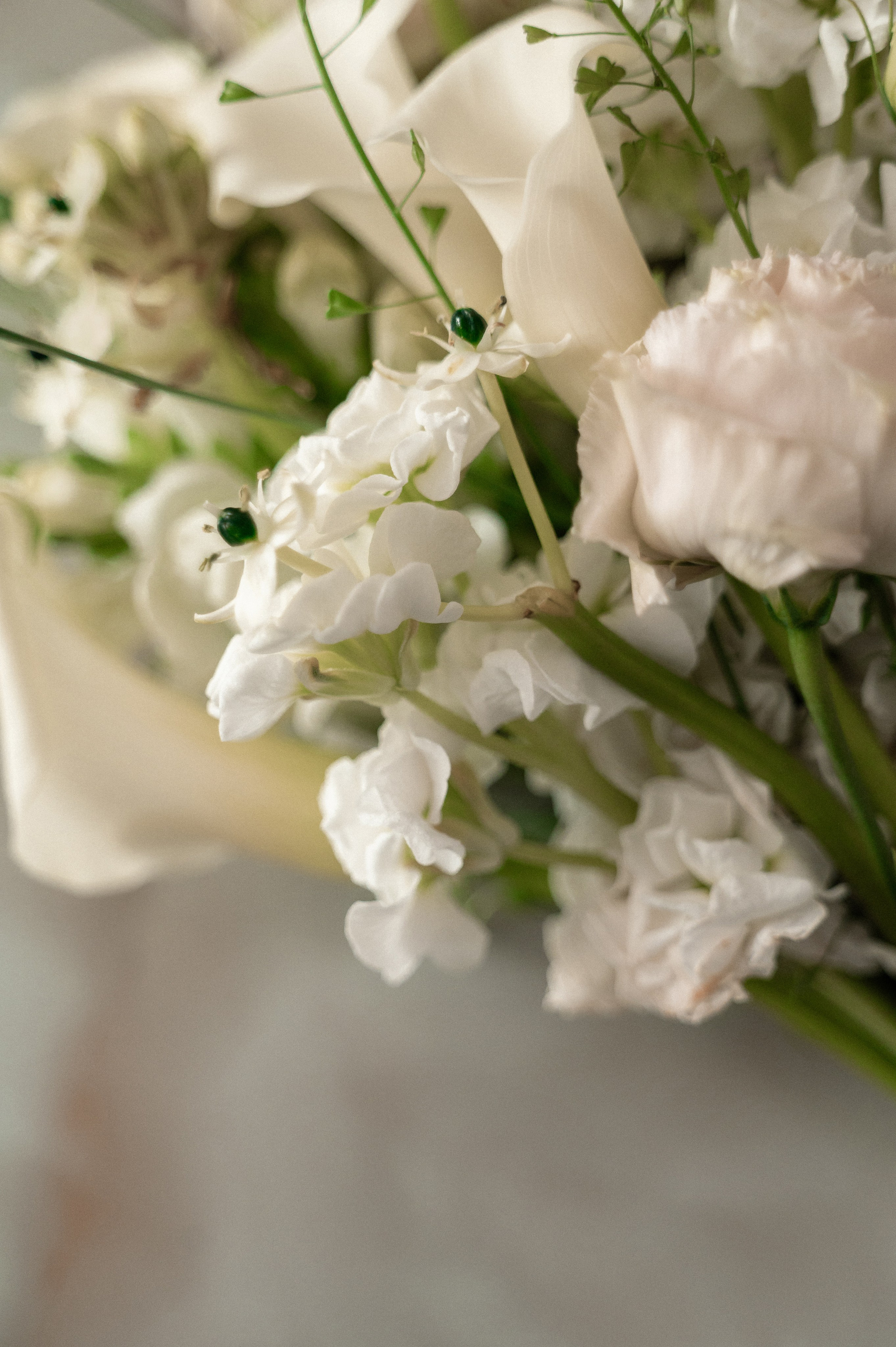 Сегодня только о любви. Свадебный и семейный фотограф в Чебоксарах Ирина Левнер