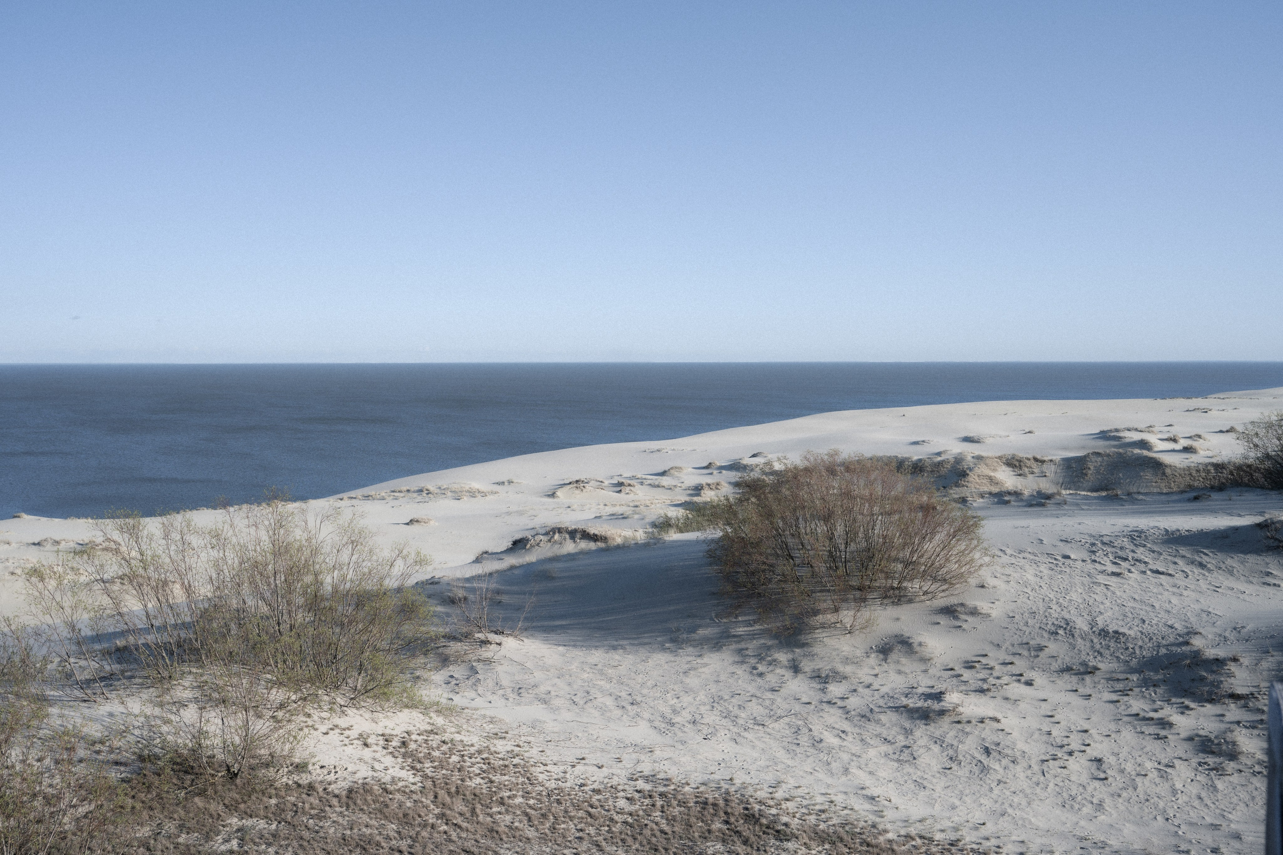 Калининград. Видение Константина Борунова