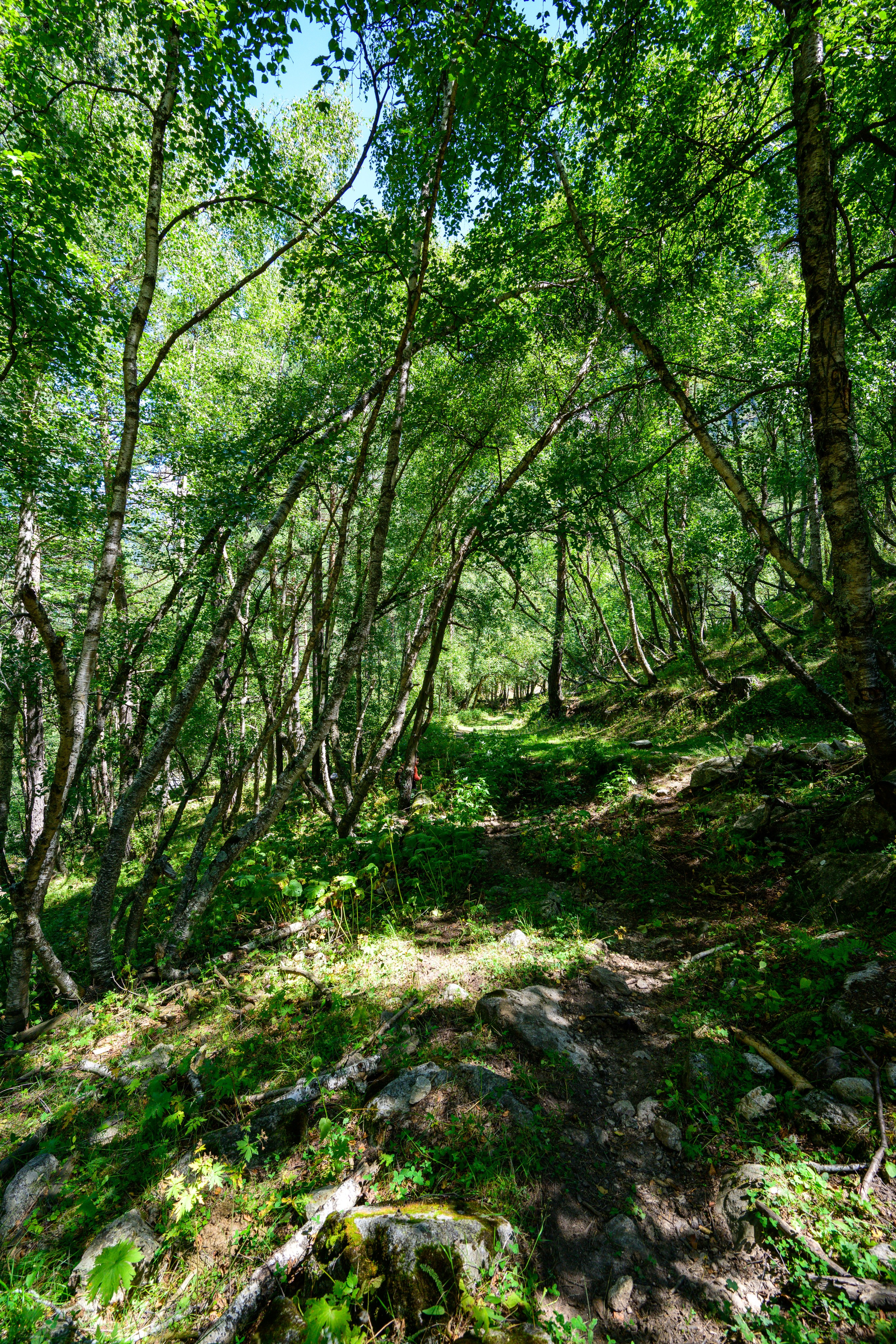 Экспедиция 2025