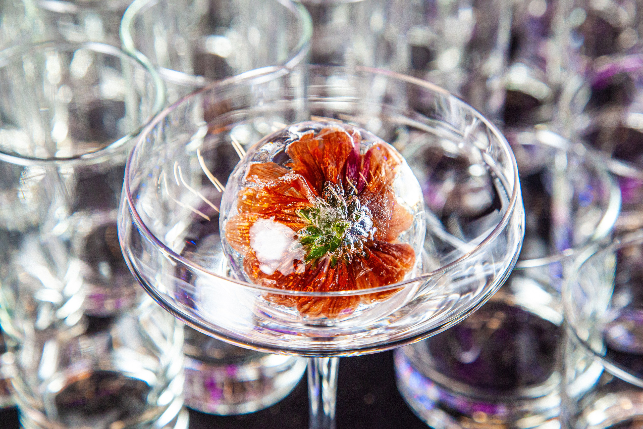 Репортажный фотограф в Москве и МО. Фотограф в Москве Максим Быков