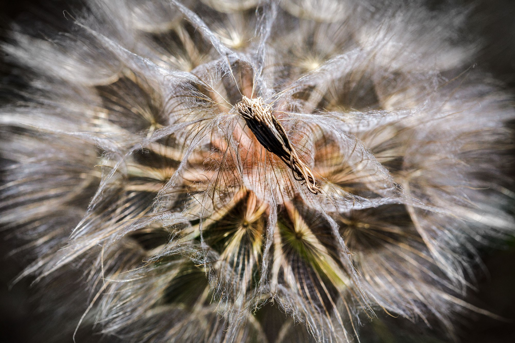 свадебный фотограф Геленджик