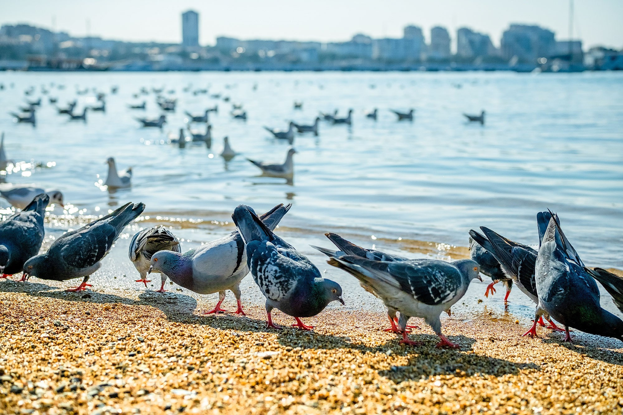 О море, людях и городе