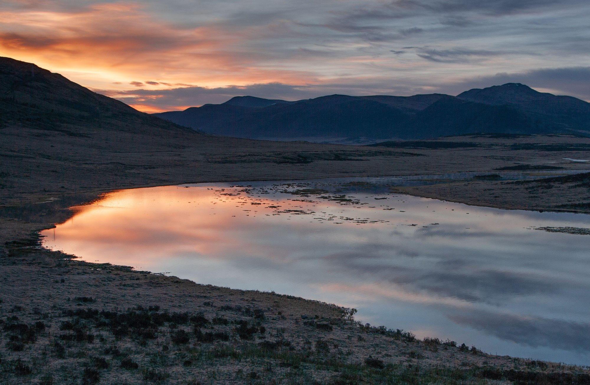 Свадебный фотограф в Геленджике