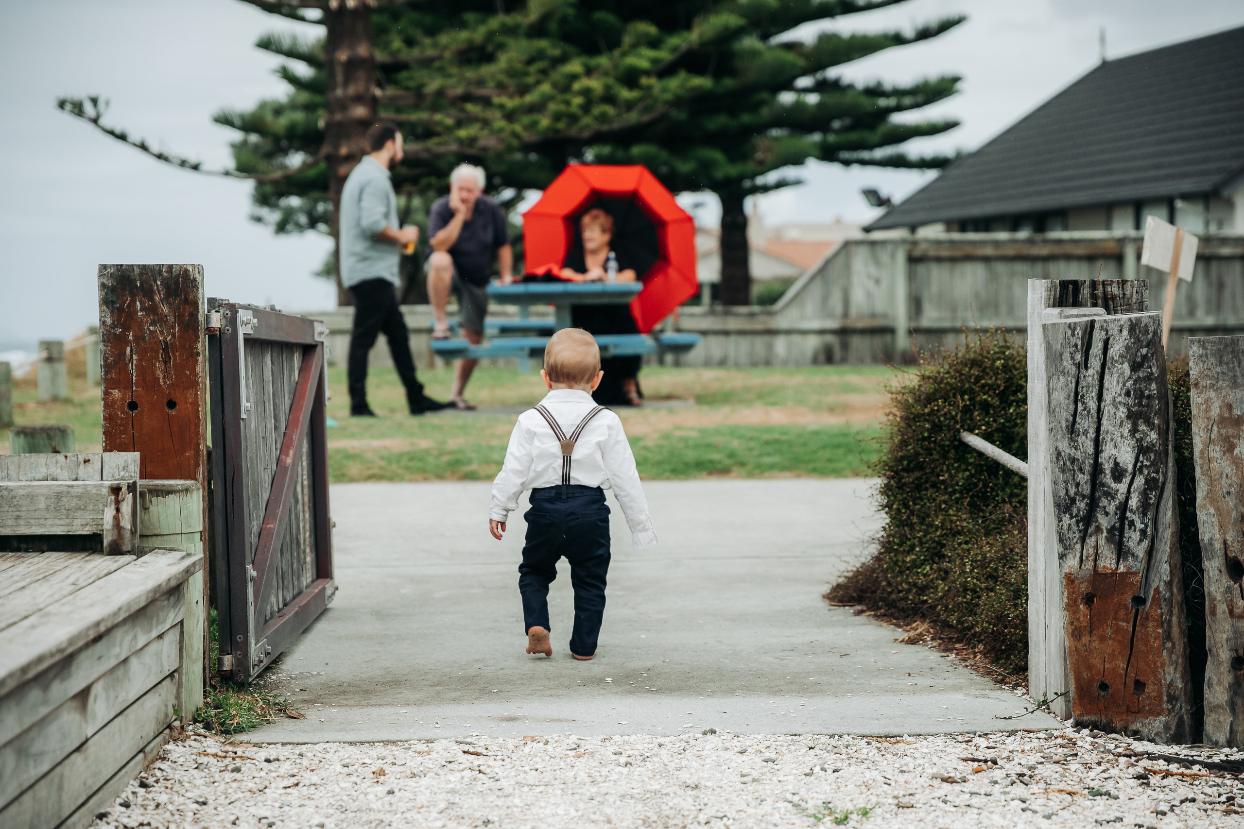 Свадебный фотограф в Санкт-Петербурге (Спб) и Тбилиси. Свадебный фотограф в Санкт-Петербурге и Москве LETU