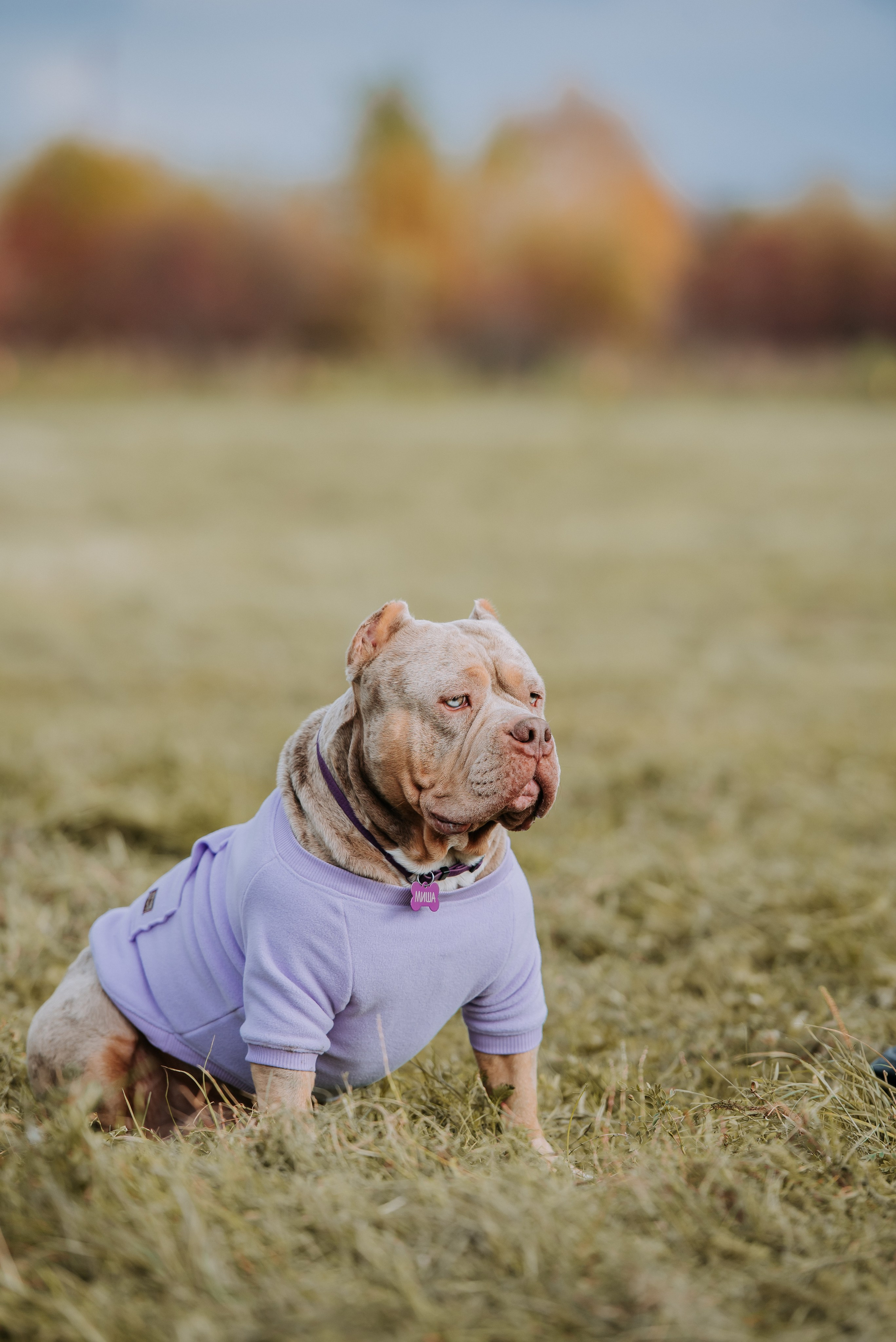 Фотопрогулка с питомцами. Фотограф Диана Оленина Красноярск / Братск