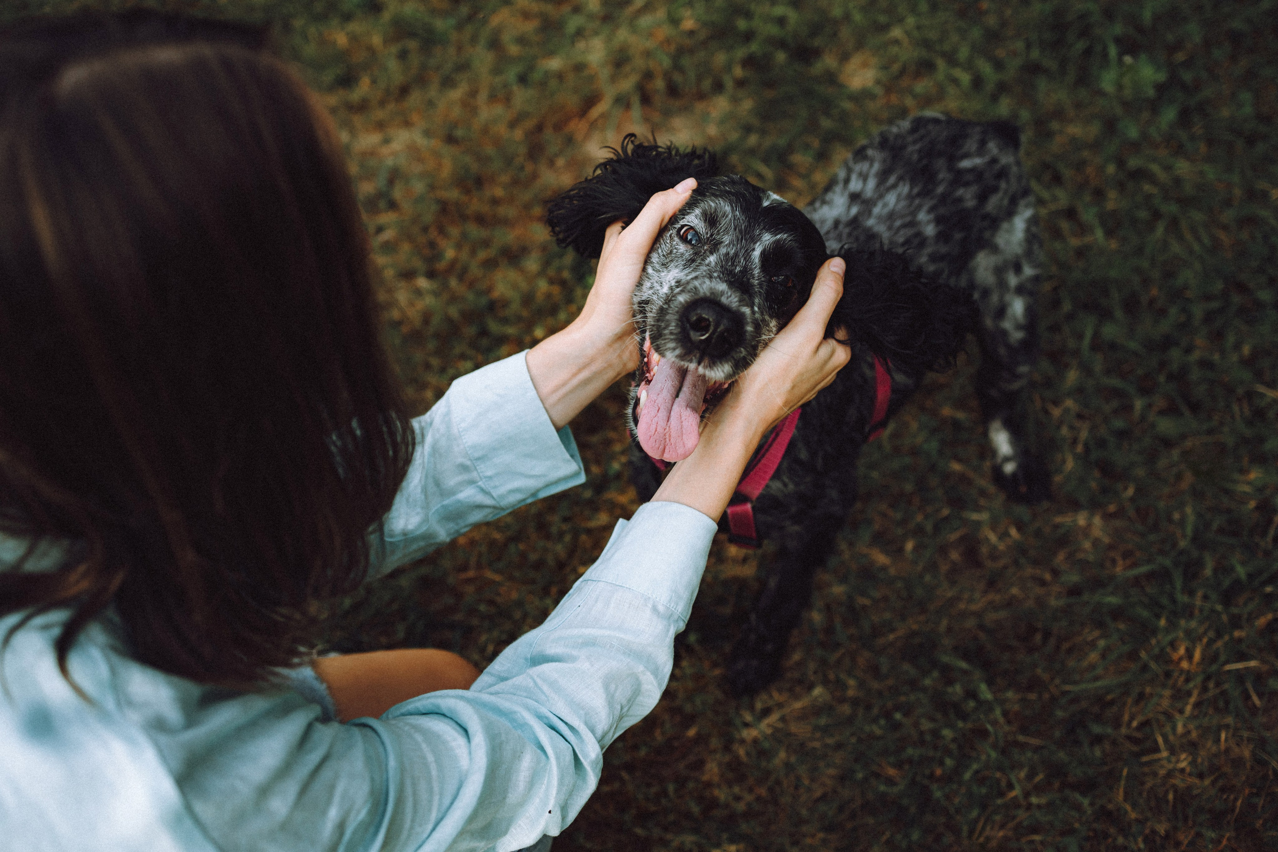 Маша и Ларри