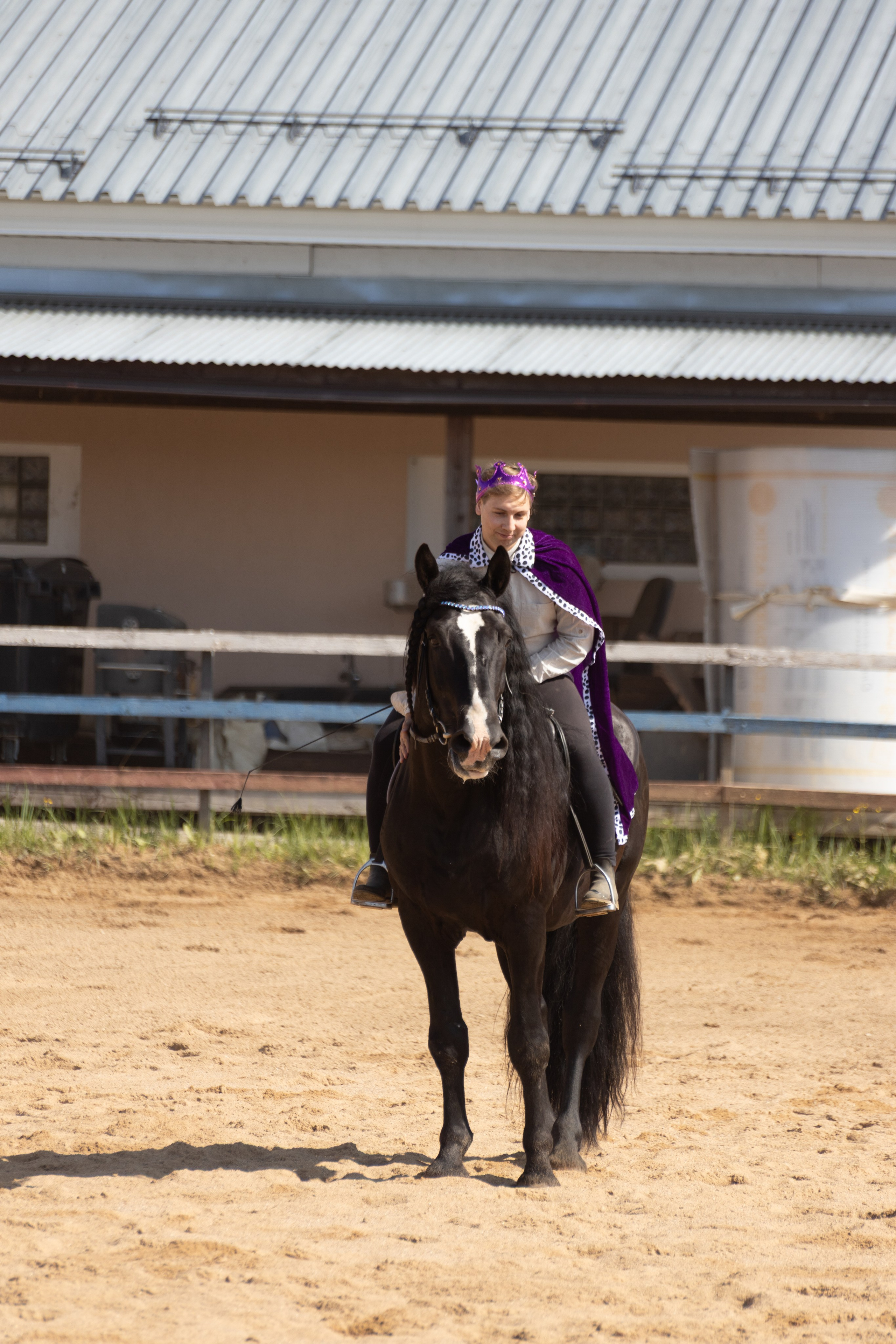 Конюшня. Фотограф в Москве и Истре