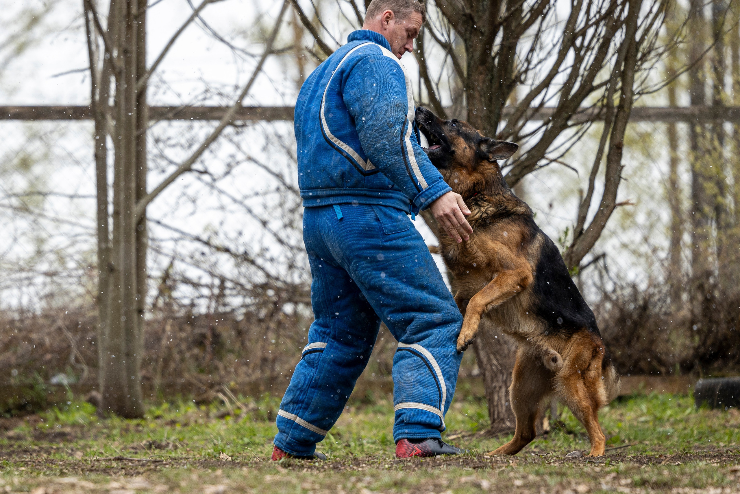 Квалификационные состязания по мондьорингу г. Вологда 11.05.24. Фотограф-анималист Анна Маринич