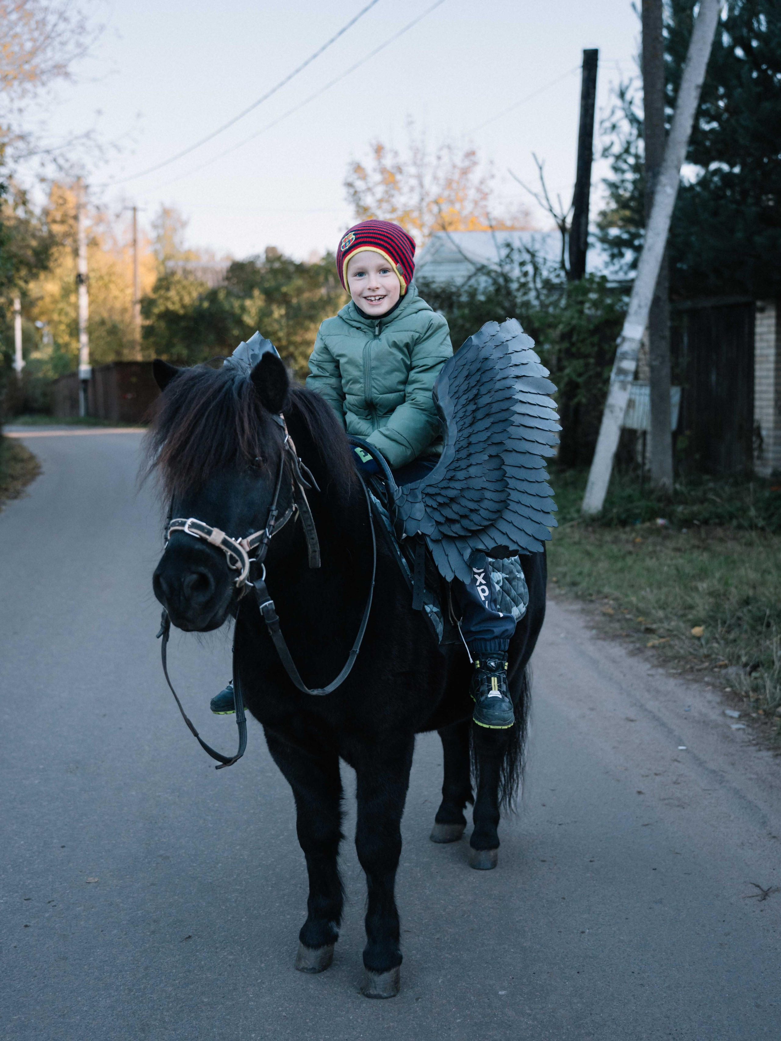 Конная школа. Фотограф Светлана Мересева