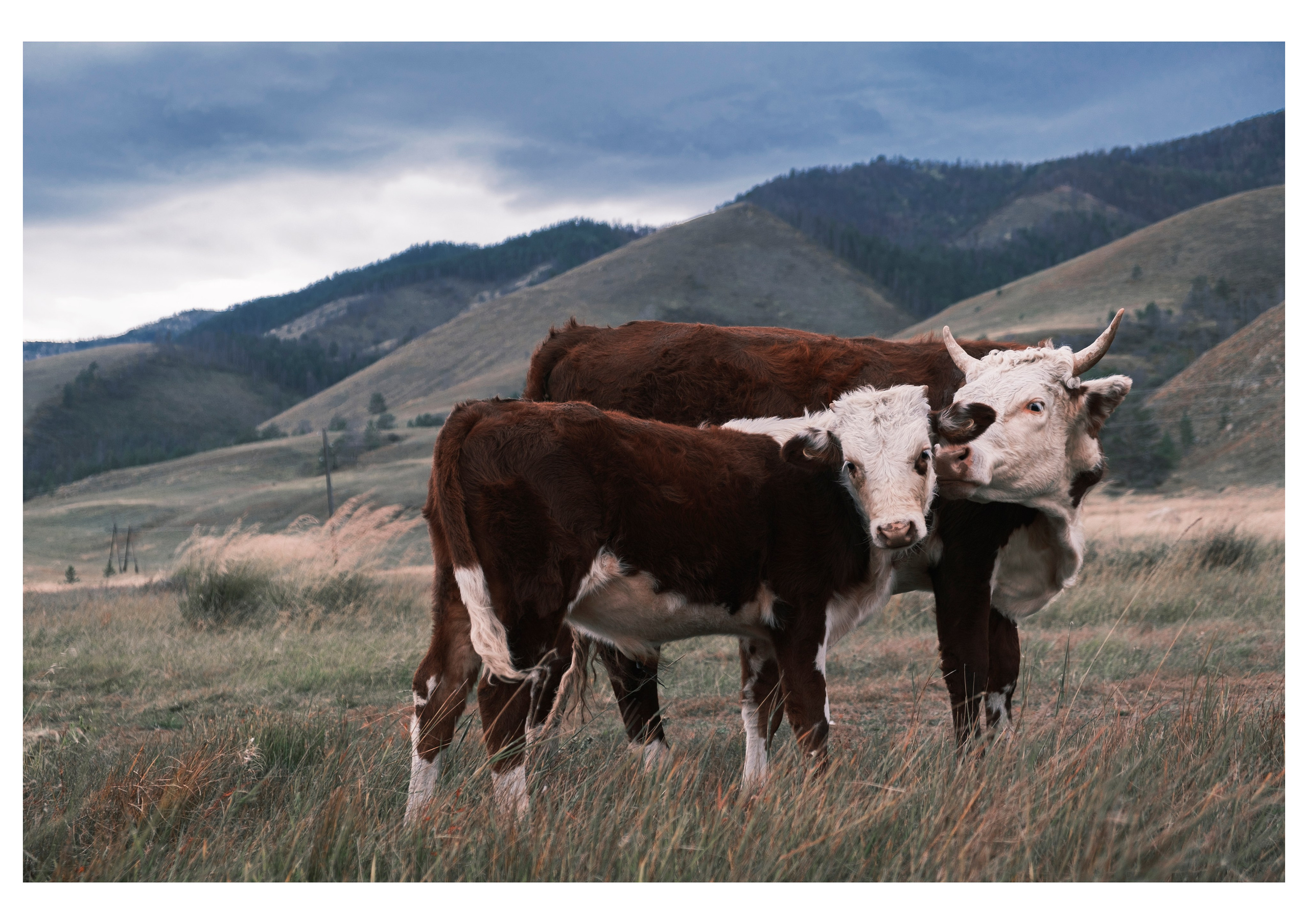ПЕЙЗАЖИ. Фотограф Чита | Иркутск | Новосибирск