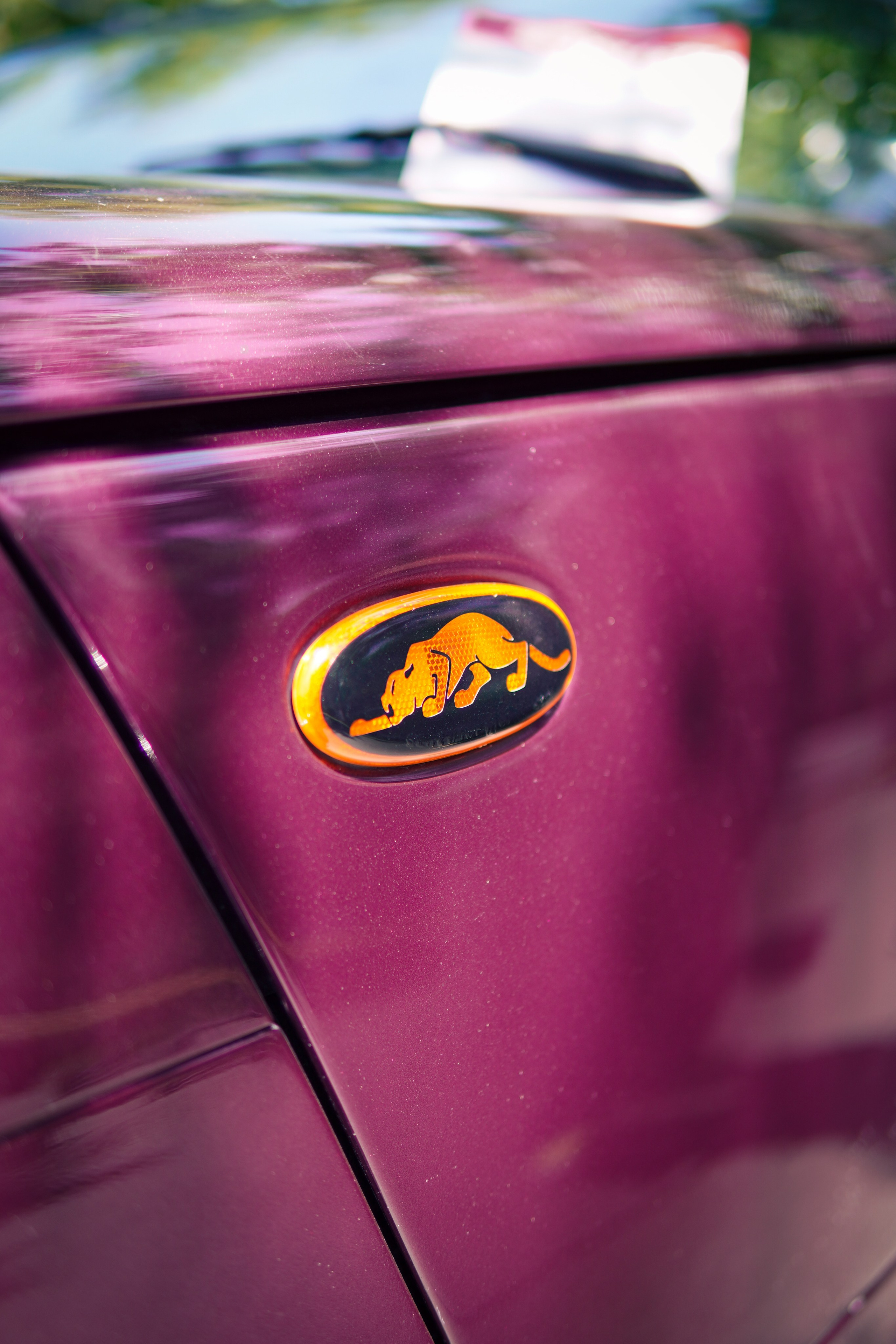 Plymouth Prowler 1998. AutoAlexArt