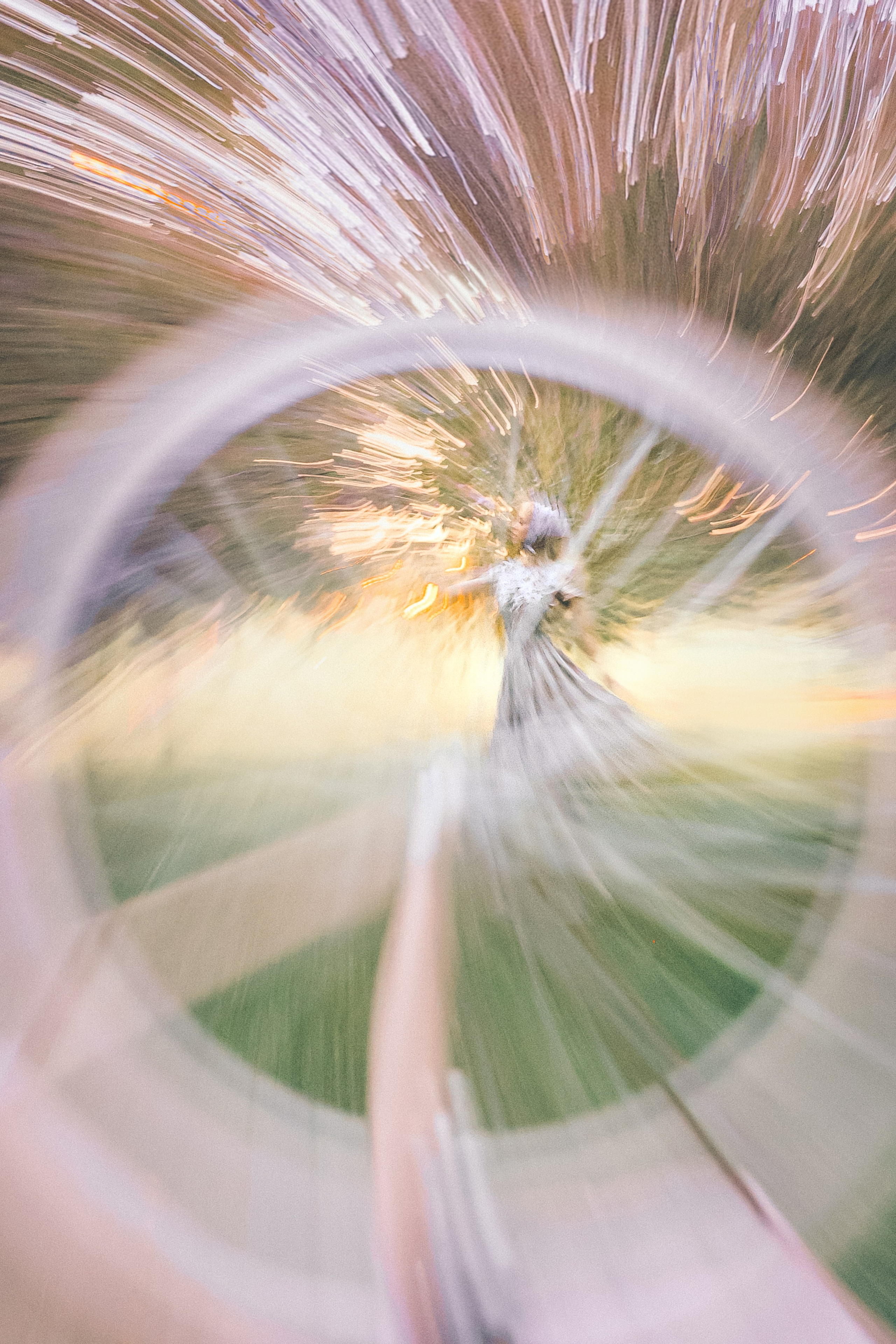 Портретный фотогараф Москва цветение. Фотограф Москва — Павел Михайлов