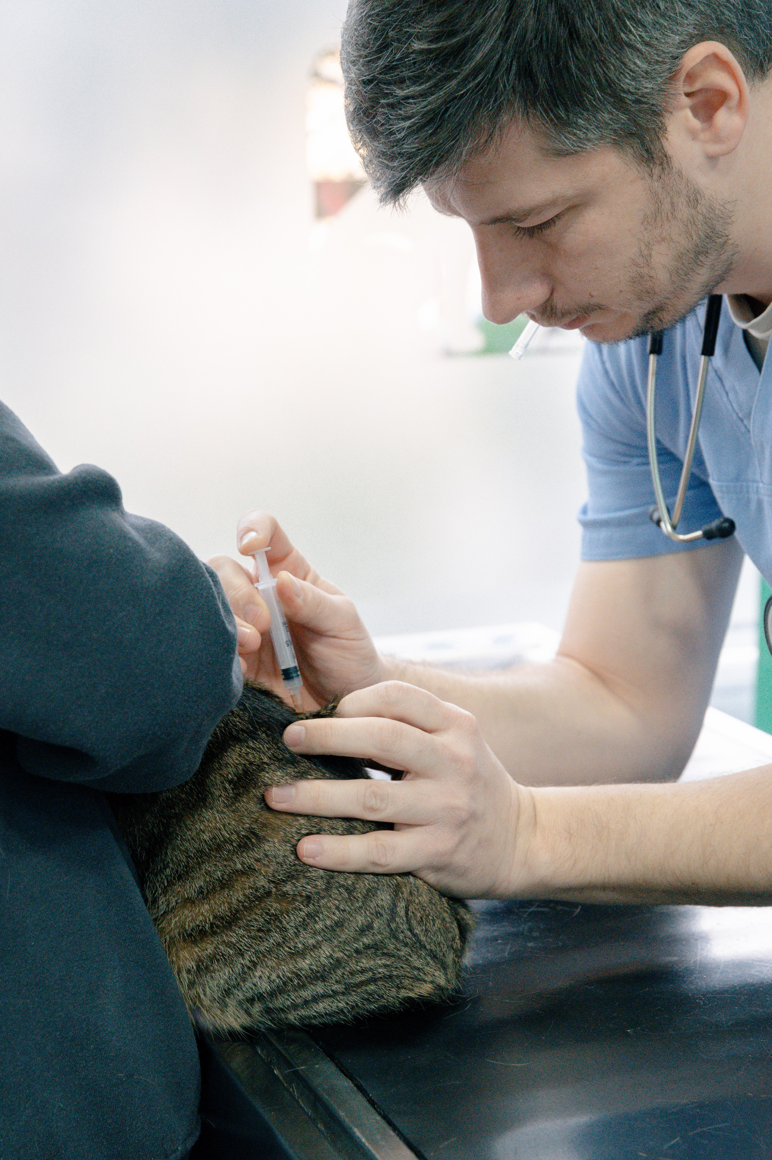 Veterinary clinic «LoyalVet». Art-photographer Ira Wind