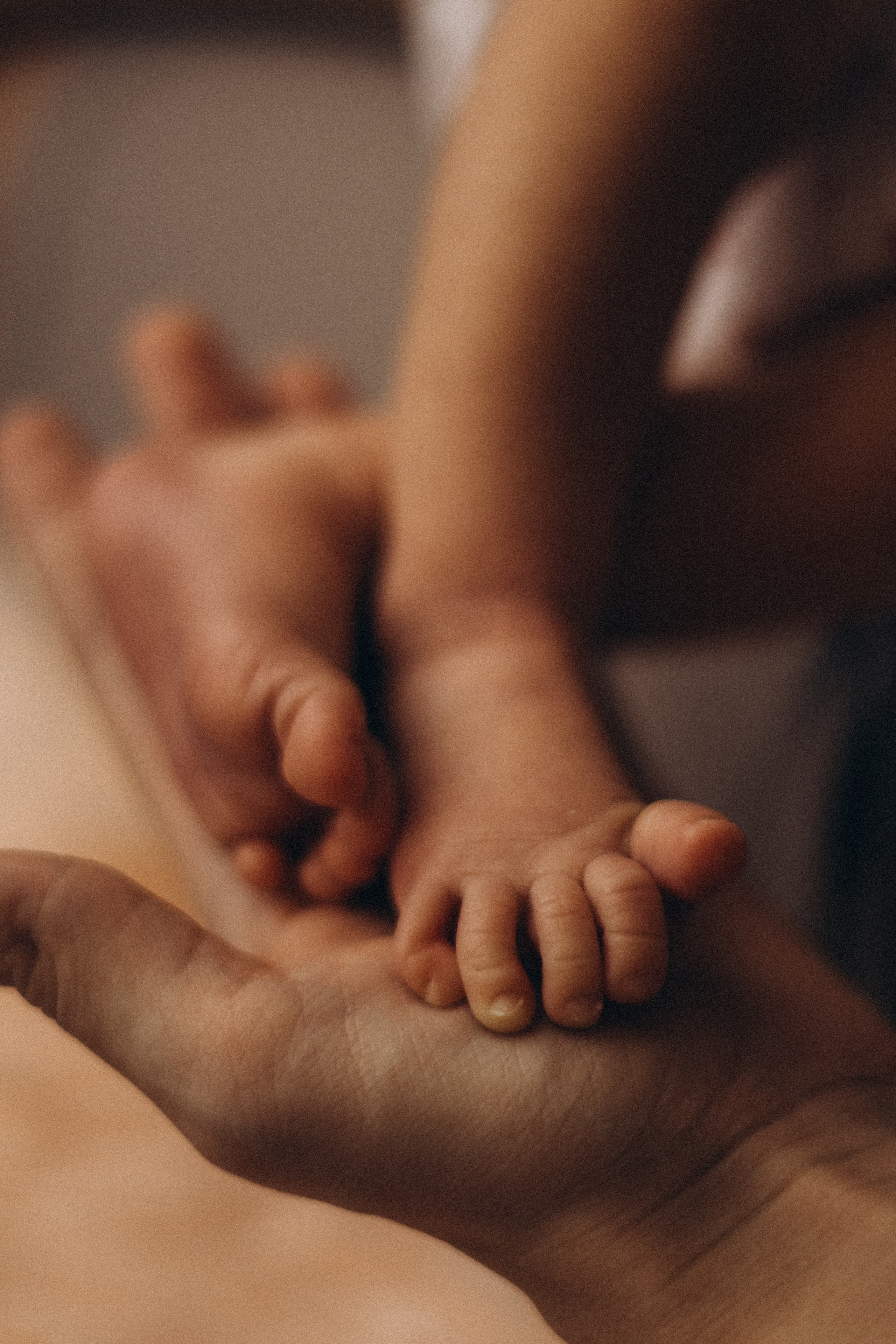 Лиза и Дарьяна. Семейный фотограф в Красноярске Екатерина Гайнутдинова