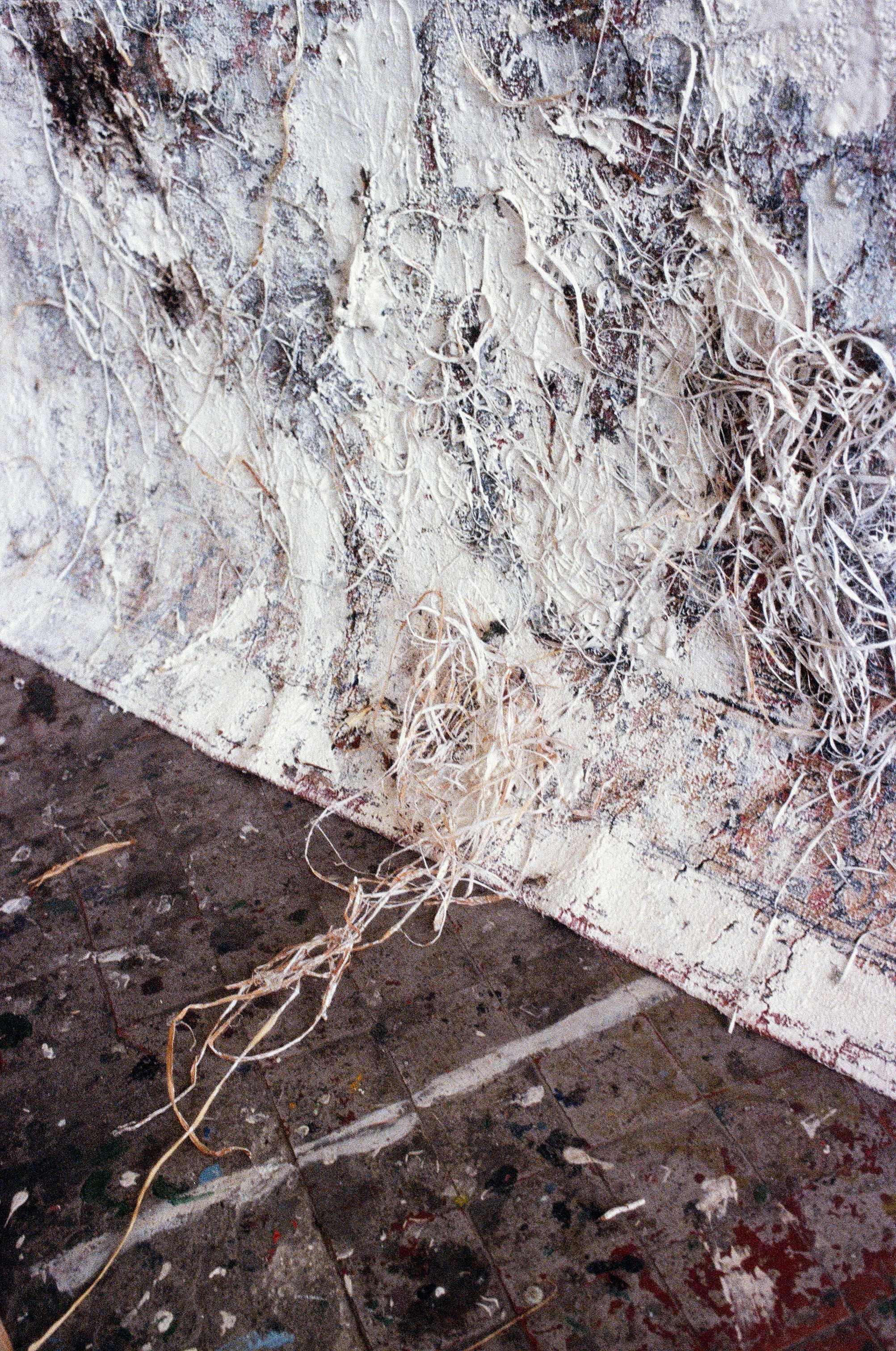 Белый ковёр. Рузанна Тетерина