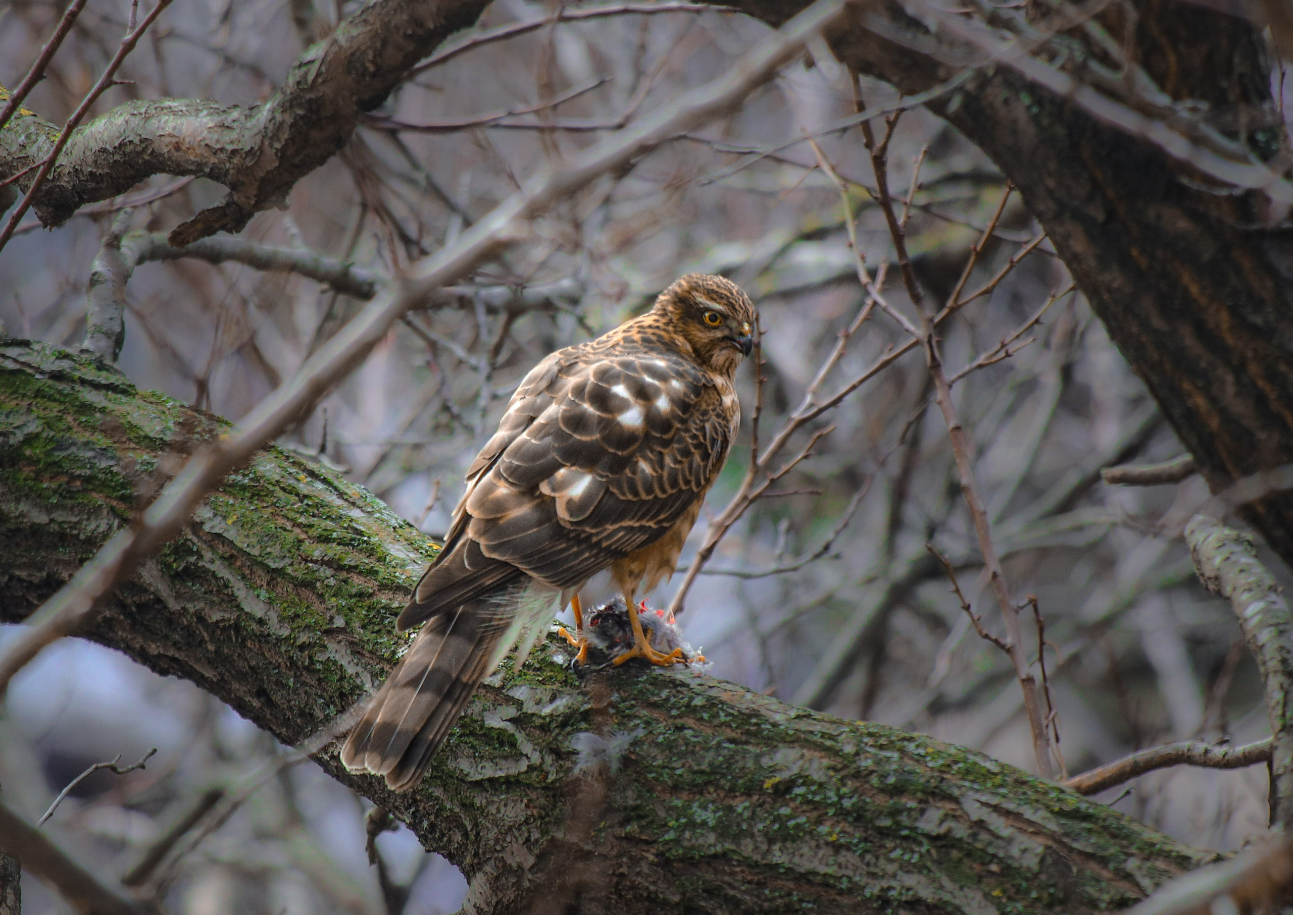 Природа. Глеб Захаренко — спортивный и репортажный фотограф в Крыму