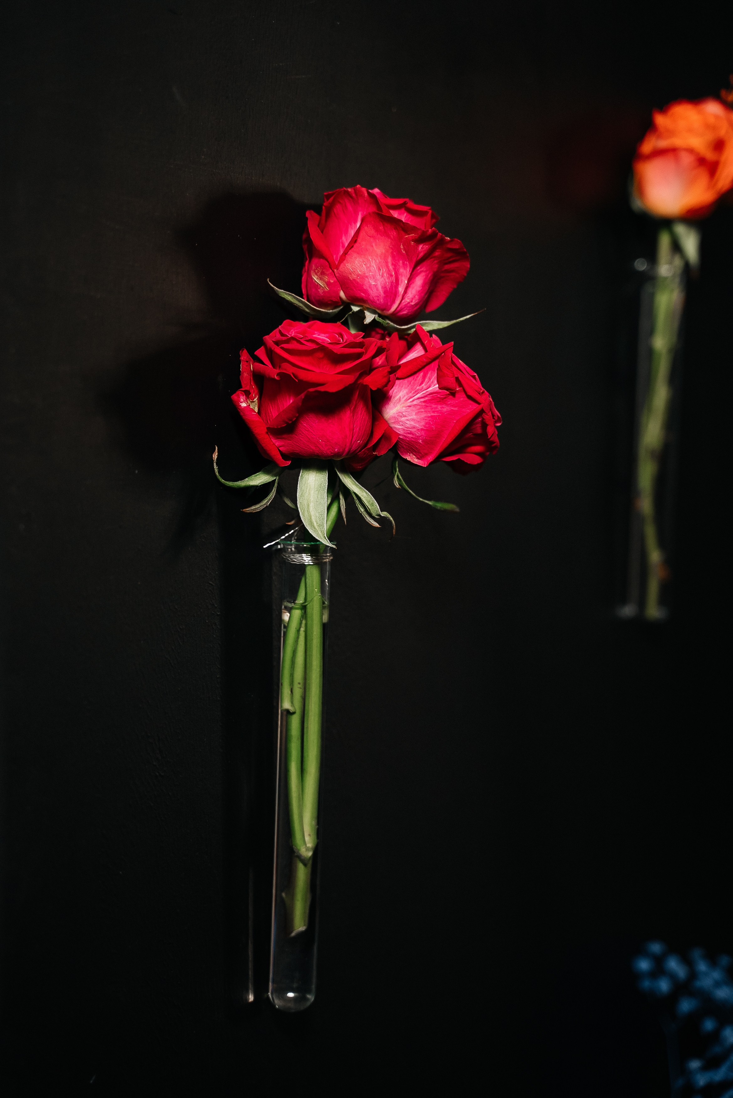 Сьесс. Павел Краснов — Свадебный и репортажный фотограф в Москве