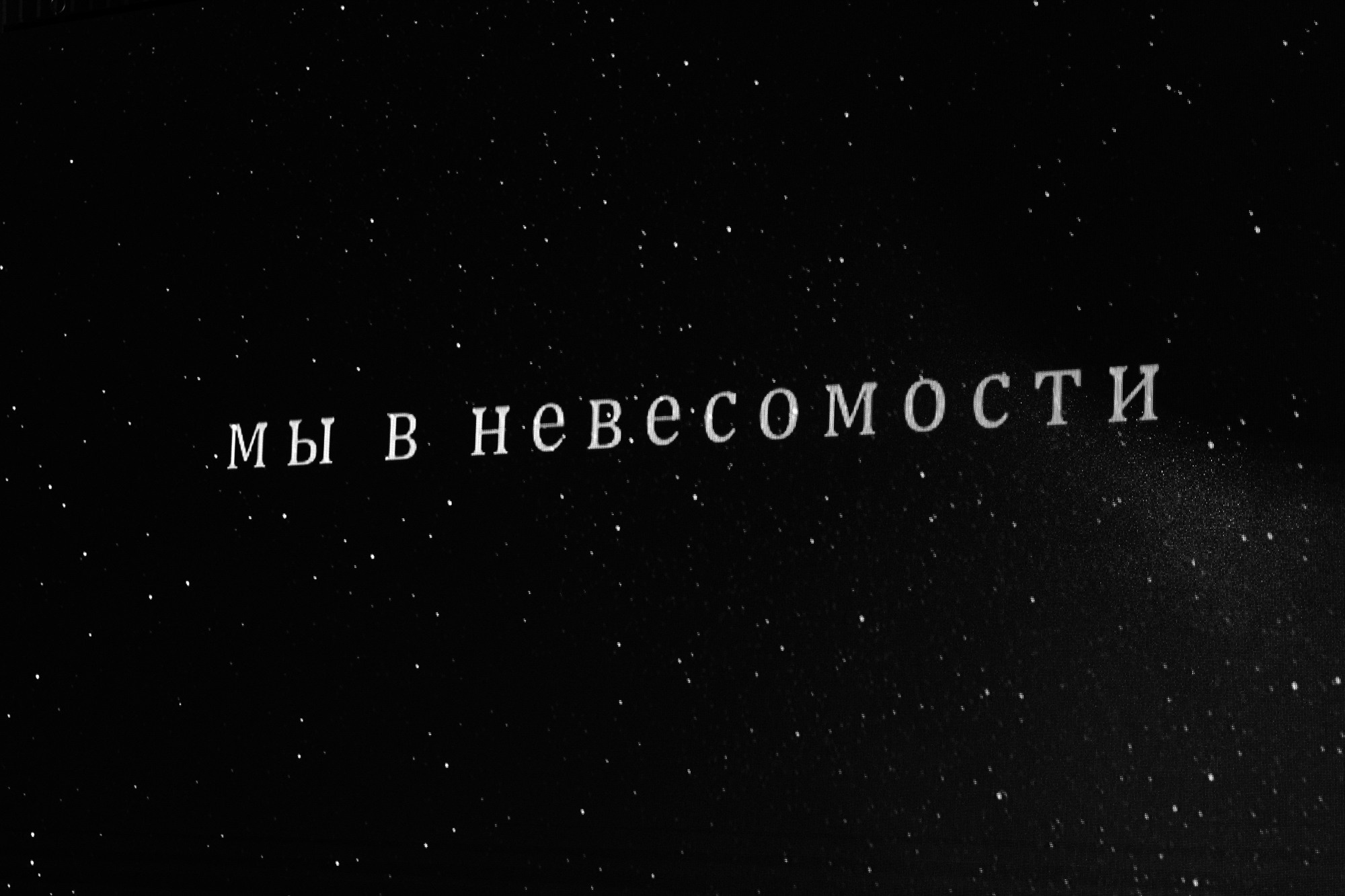 . Свадебный фотограф в Тюмени Рашид Таштимиров