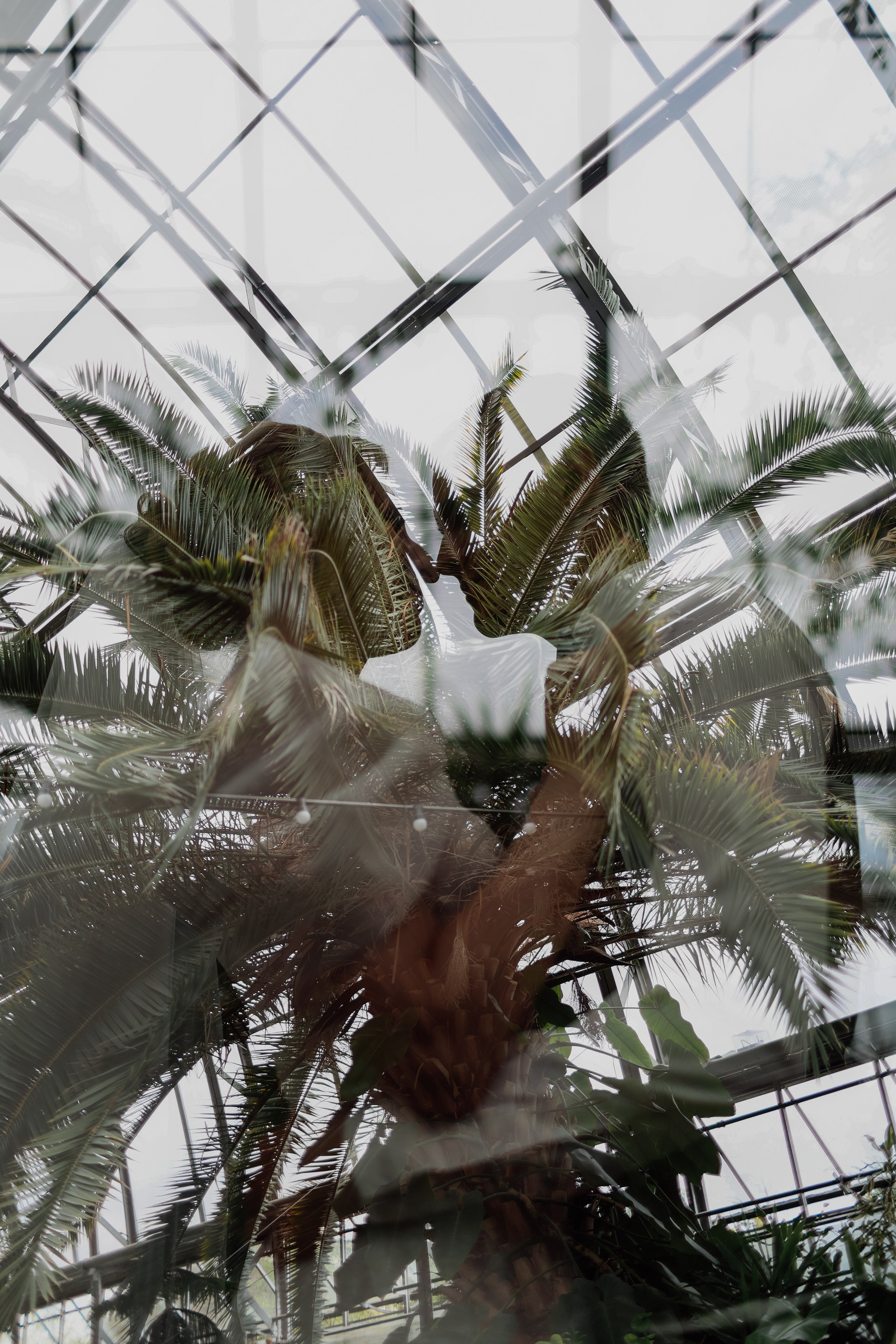 Игорь и Анна. Твой снимок СПб