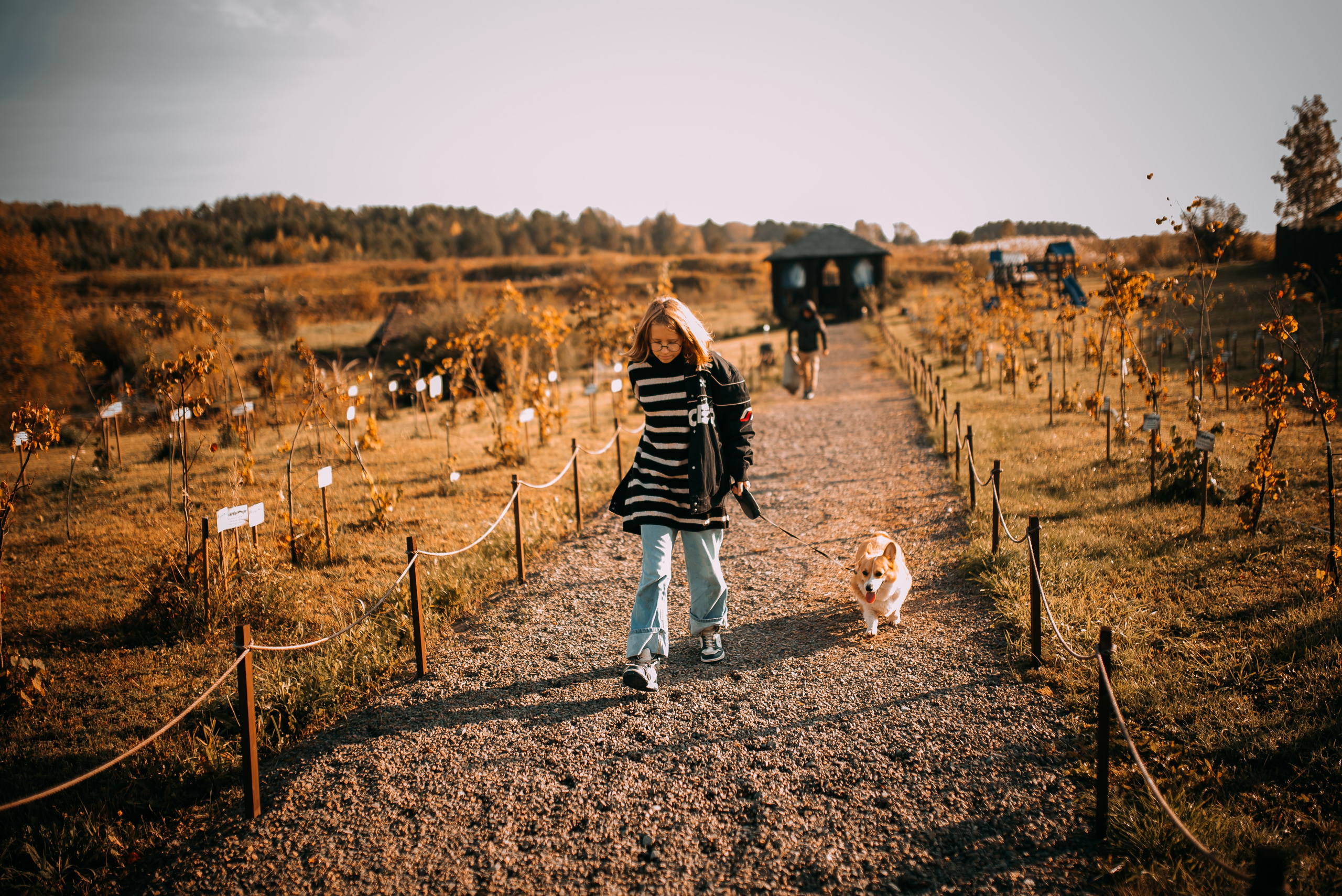 Лаки парк осень Полина. Фотограф в Болгарии. Фотограф в Созополе