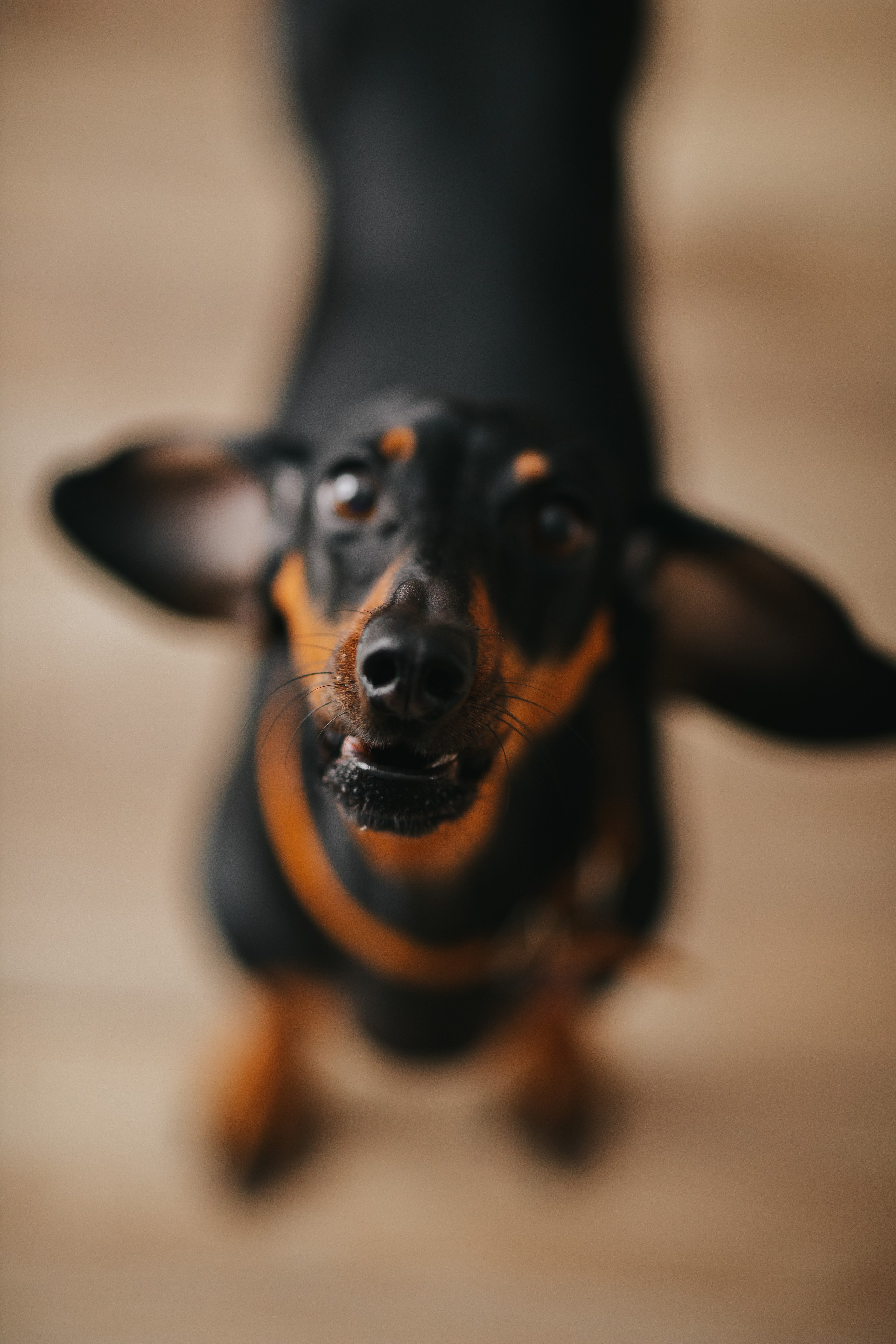 Саша, Саша, Ксюша и Лев. Семейный lifestyle фотограф в Санкт-Петербурге Людмила Пахомова