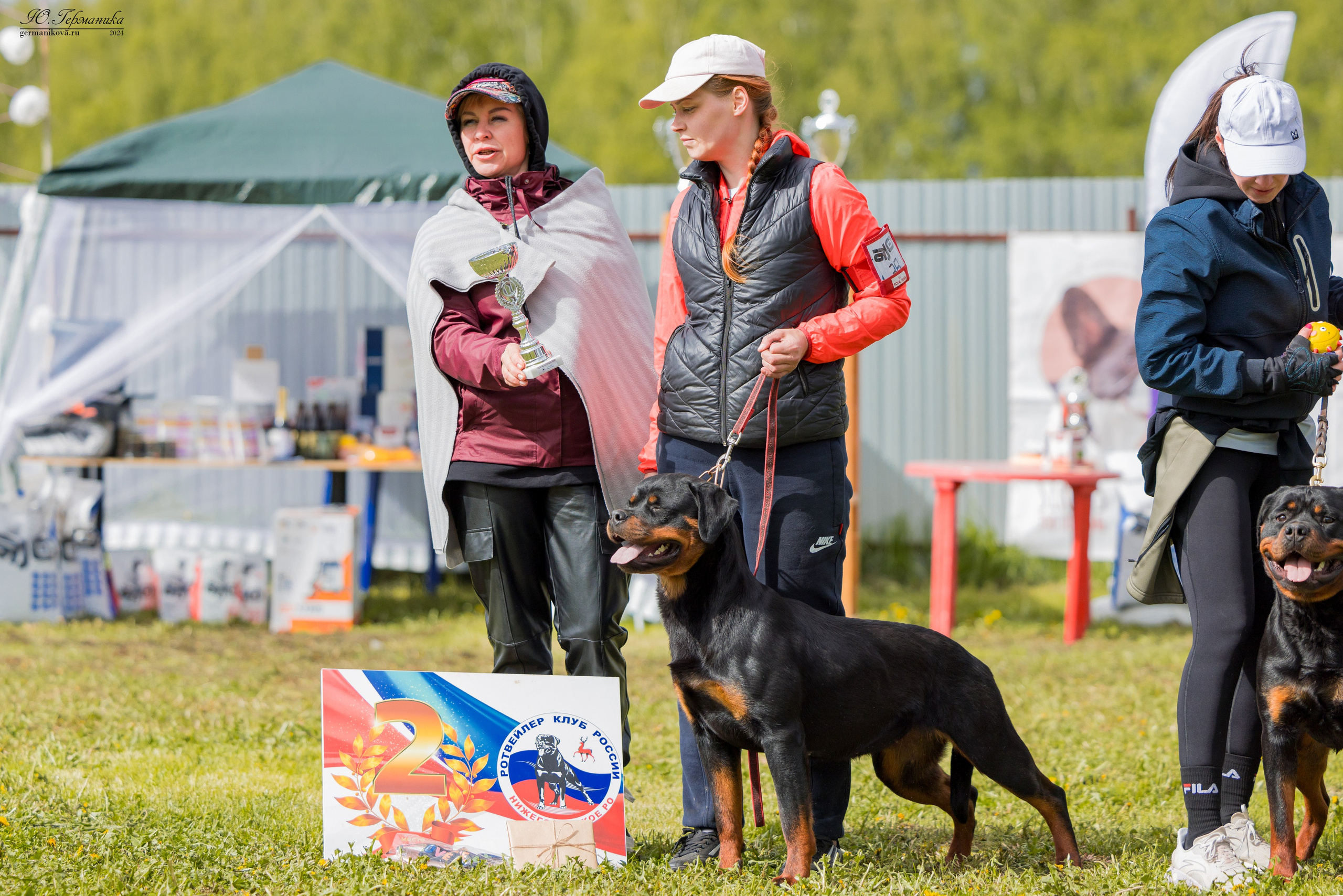 Нижний Новгород 11-12.05.2024 моно ротвейлеров. Фотограф-анималист Юлия Германика